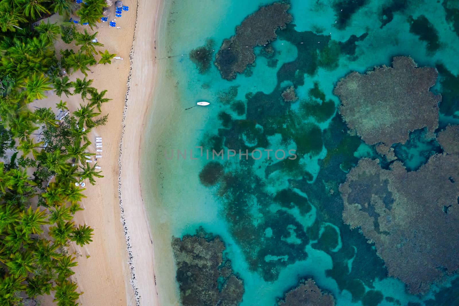 bird view shot of tropical beach El Portillo by Robertobinetti70