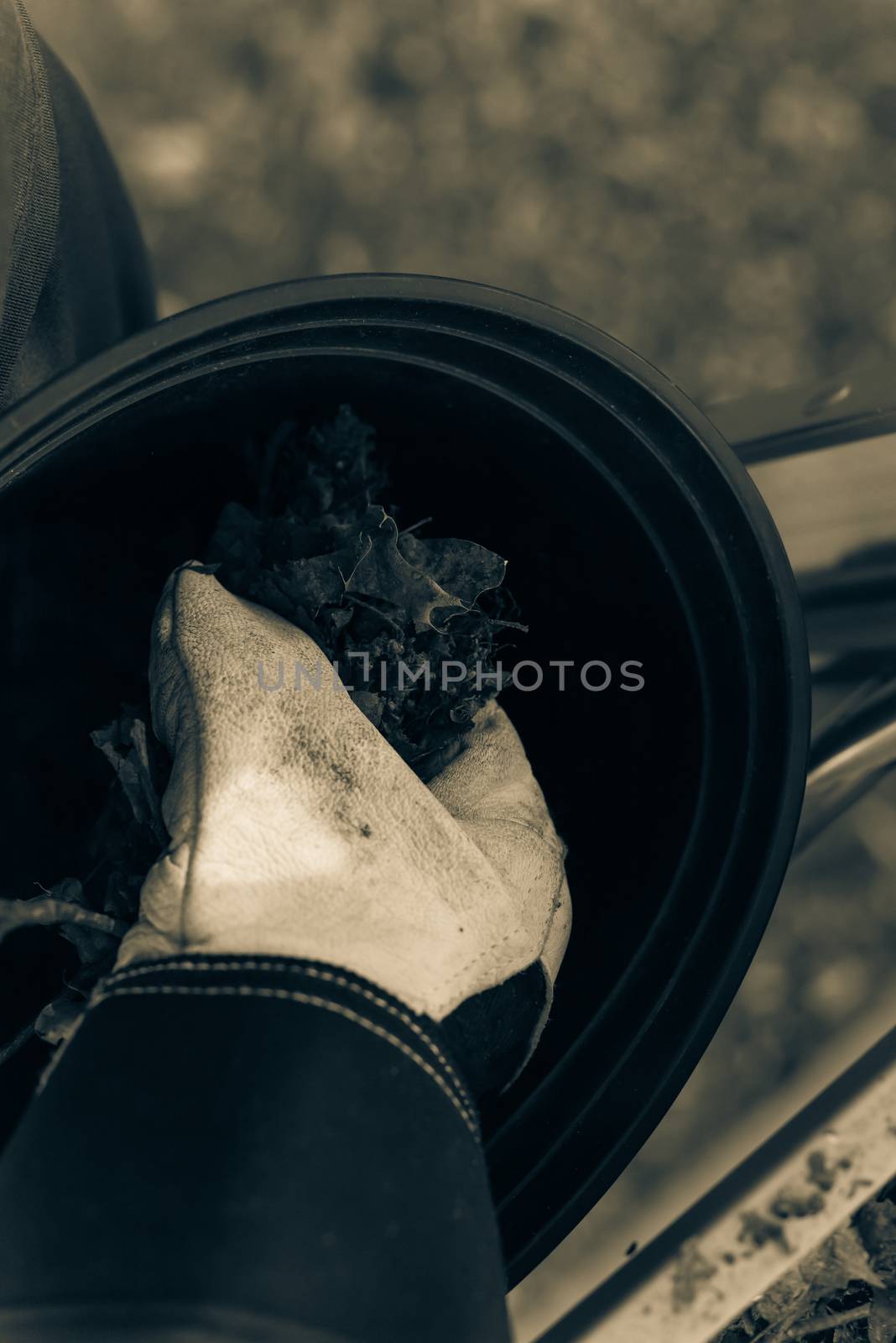 Vintage tone top view man hand in gloves holding dried leaves and dirt from gutter and drop into black bucket. Roof gutter cleaning in summer time