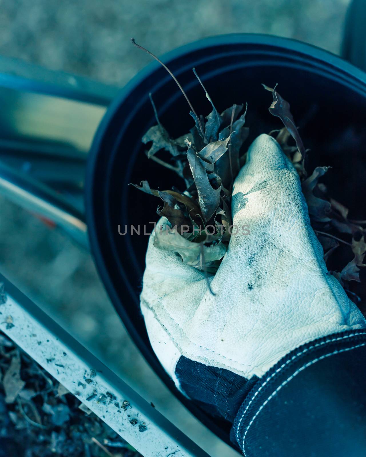 Filtered image close-up hand with gloves drop dried leaves and dirt into bucket from gutter cleaning by trongnguyen