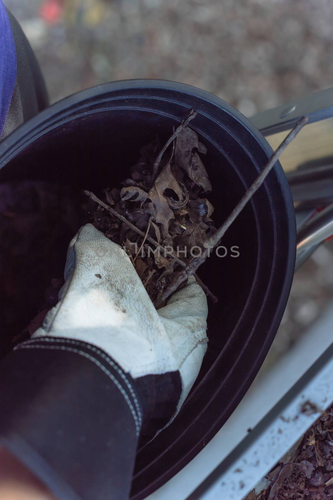 Close-up hand with gloves drop dried leaves and dirt into bucket from gutter cleaning by trongnguyen