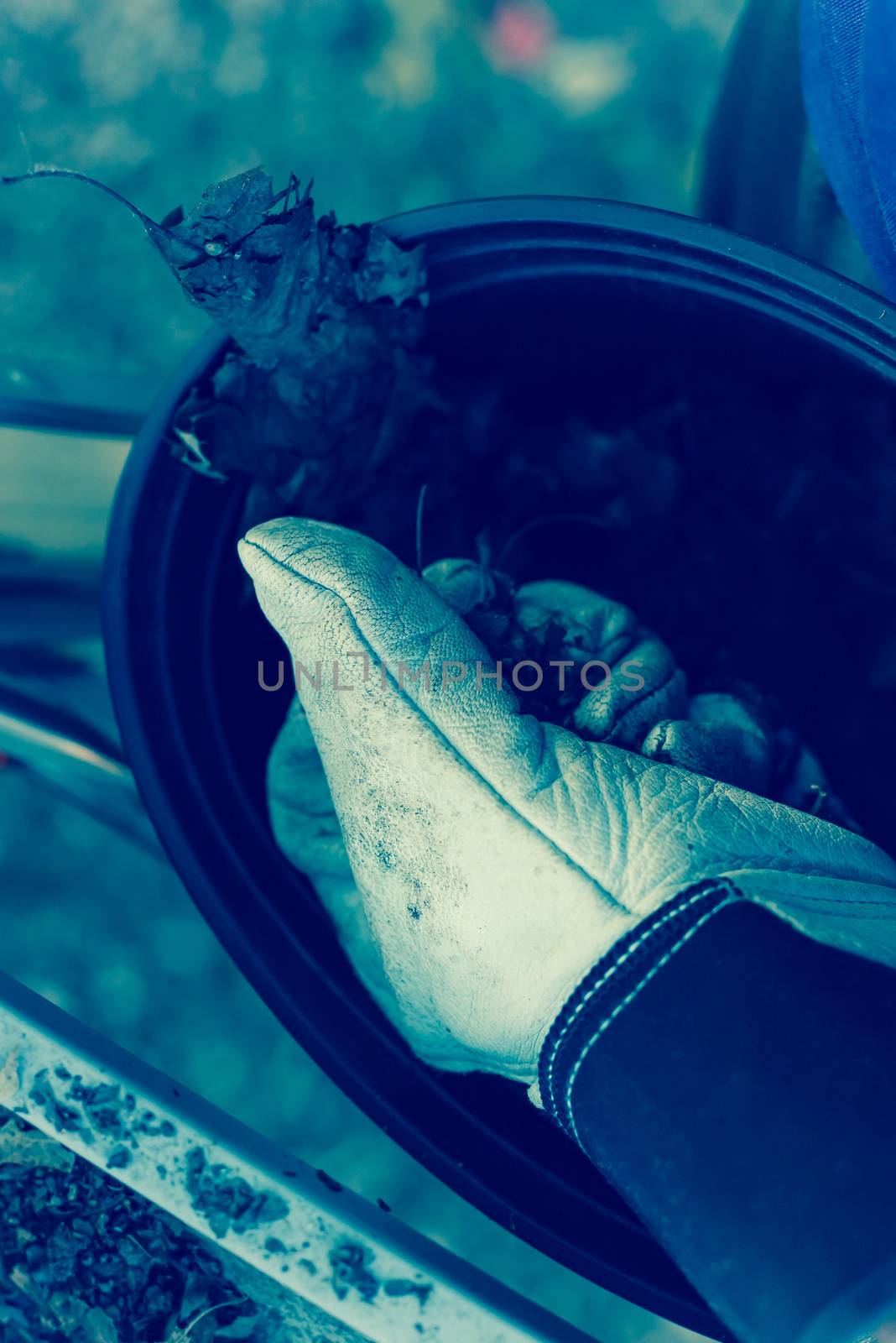 Filtered image close-up hand with gloves drop dried leaves and dirt into bucket from gutter cleaning by trongnguyen