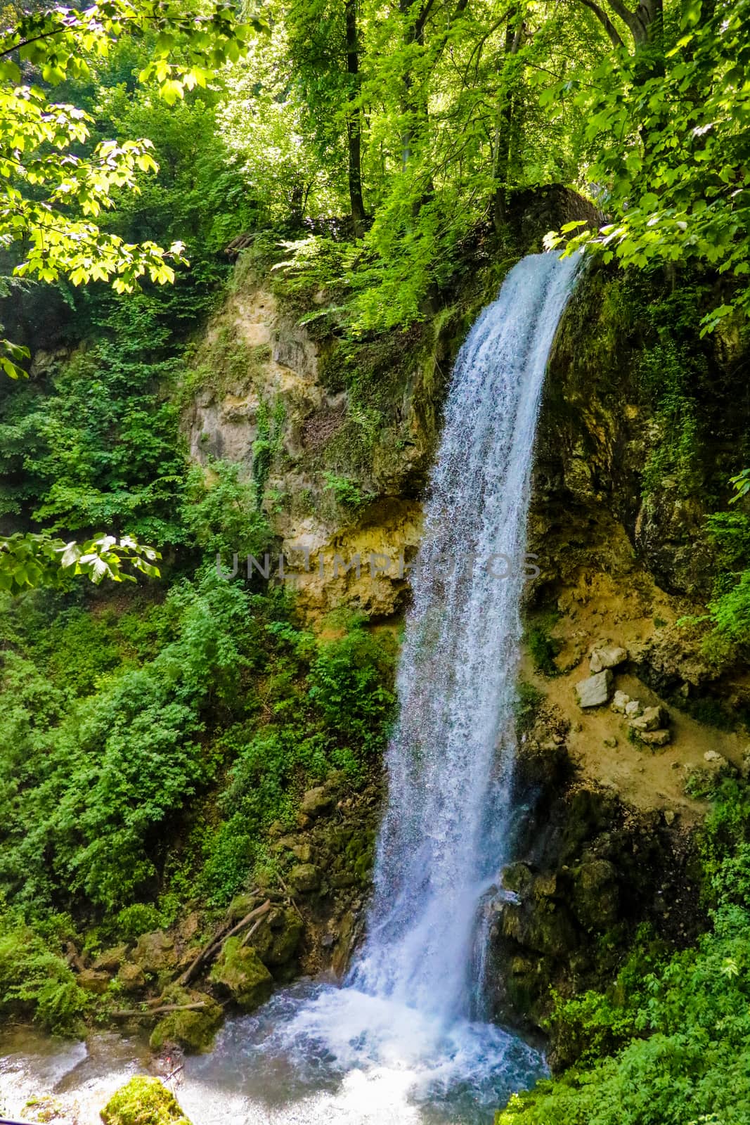 The magical feeling of a waterfall in the greenest forests on a sunny day