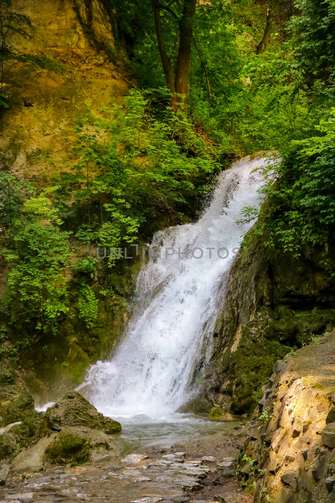 View of a small waterfall surrounded by greenery and trees
