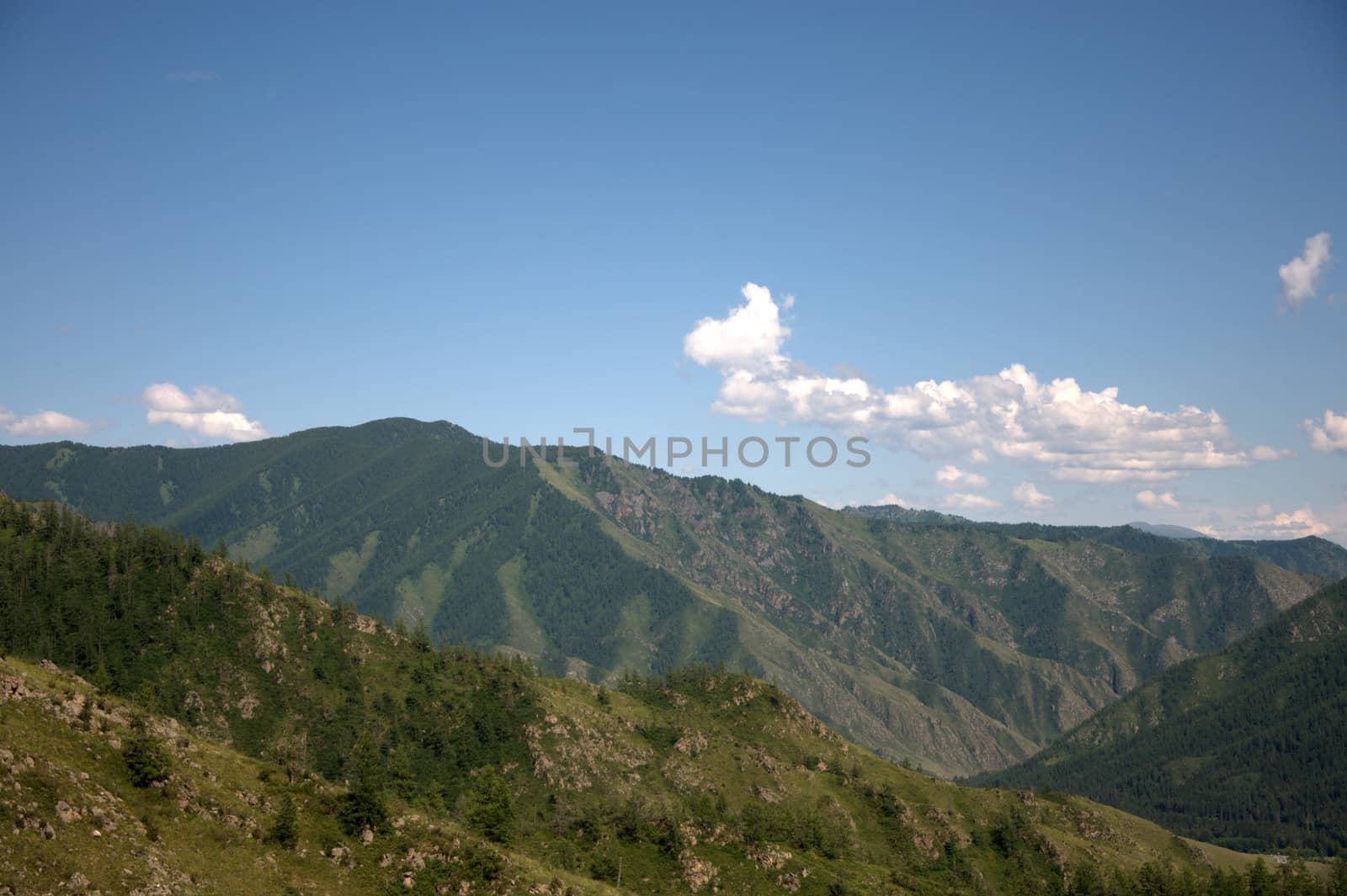 White fluffy clouds above a fertile green valley surrounded by mountains. Altai, Siberia, Roosia.