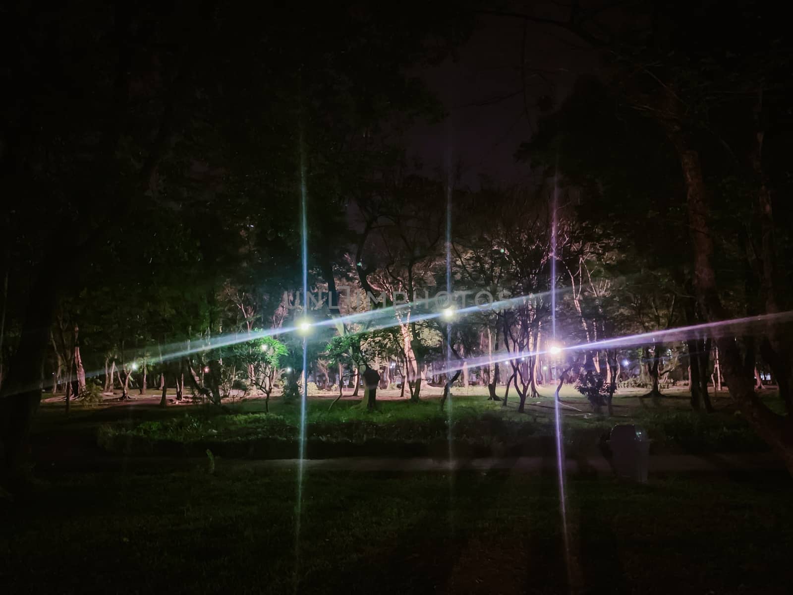 Blurry light in the park at night in the park by STZU