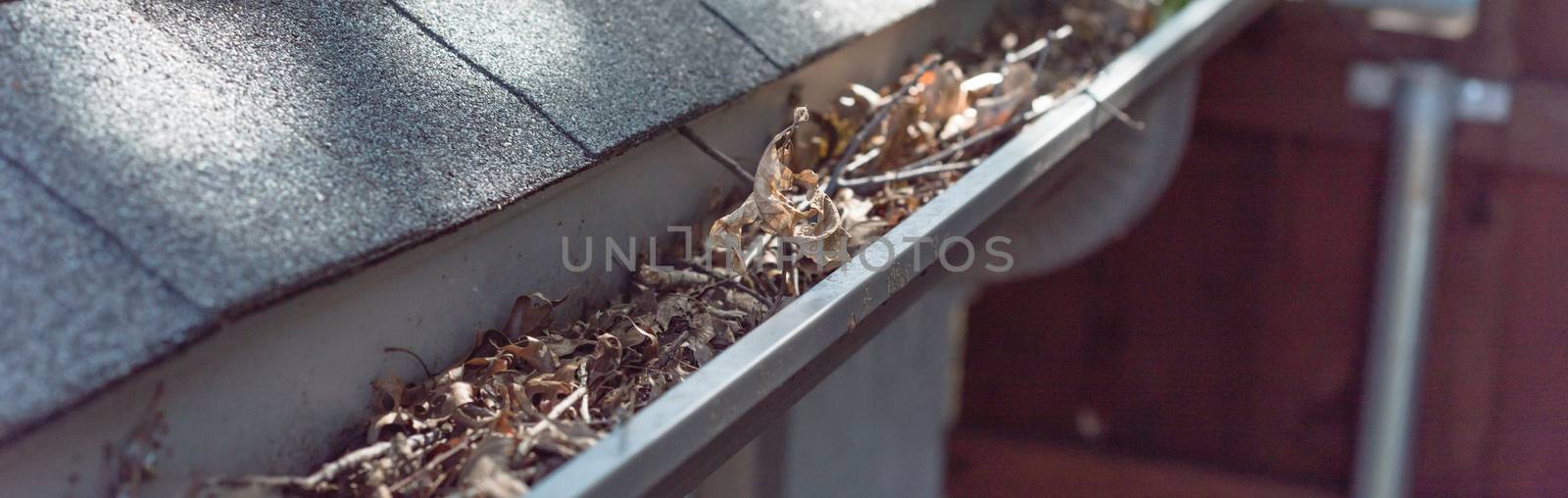 Panoramic gutter clogged by dried leaves and messy dirt need clean-up by trongnguyen