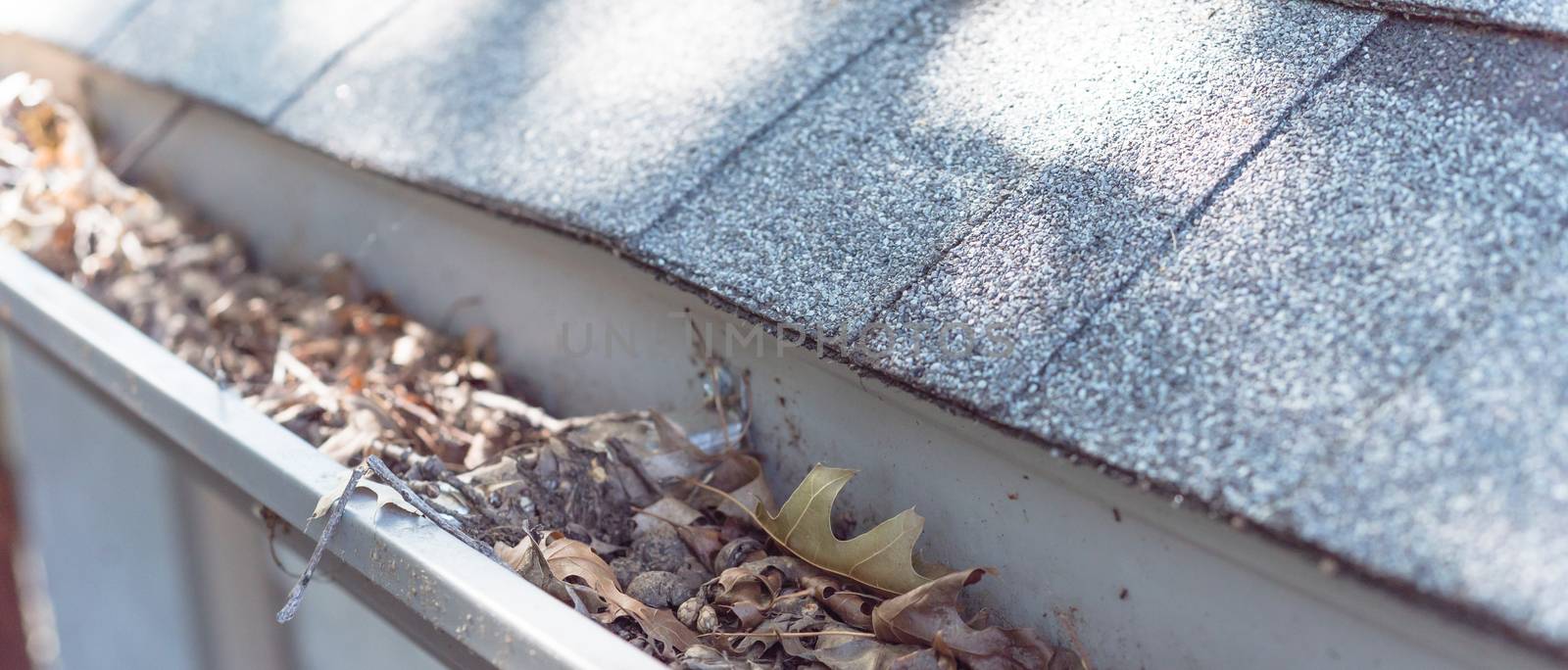 Panoramic gutter clogged by dried leaves and messy dirt need clean-up by trongnguyen