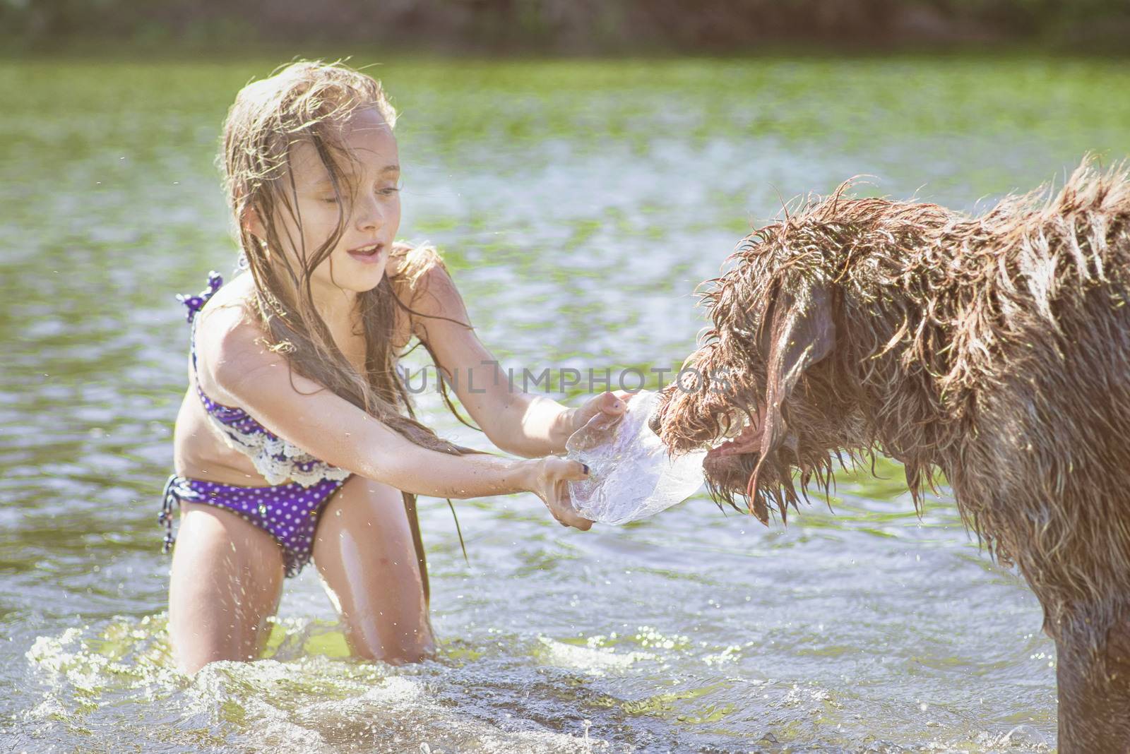 Little girl playing in the river with a dog on a summer sunny day.The concept of playing with a dog in nature and walking on the beach with Pets.Little girl playing with dog.