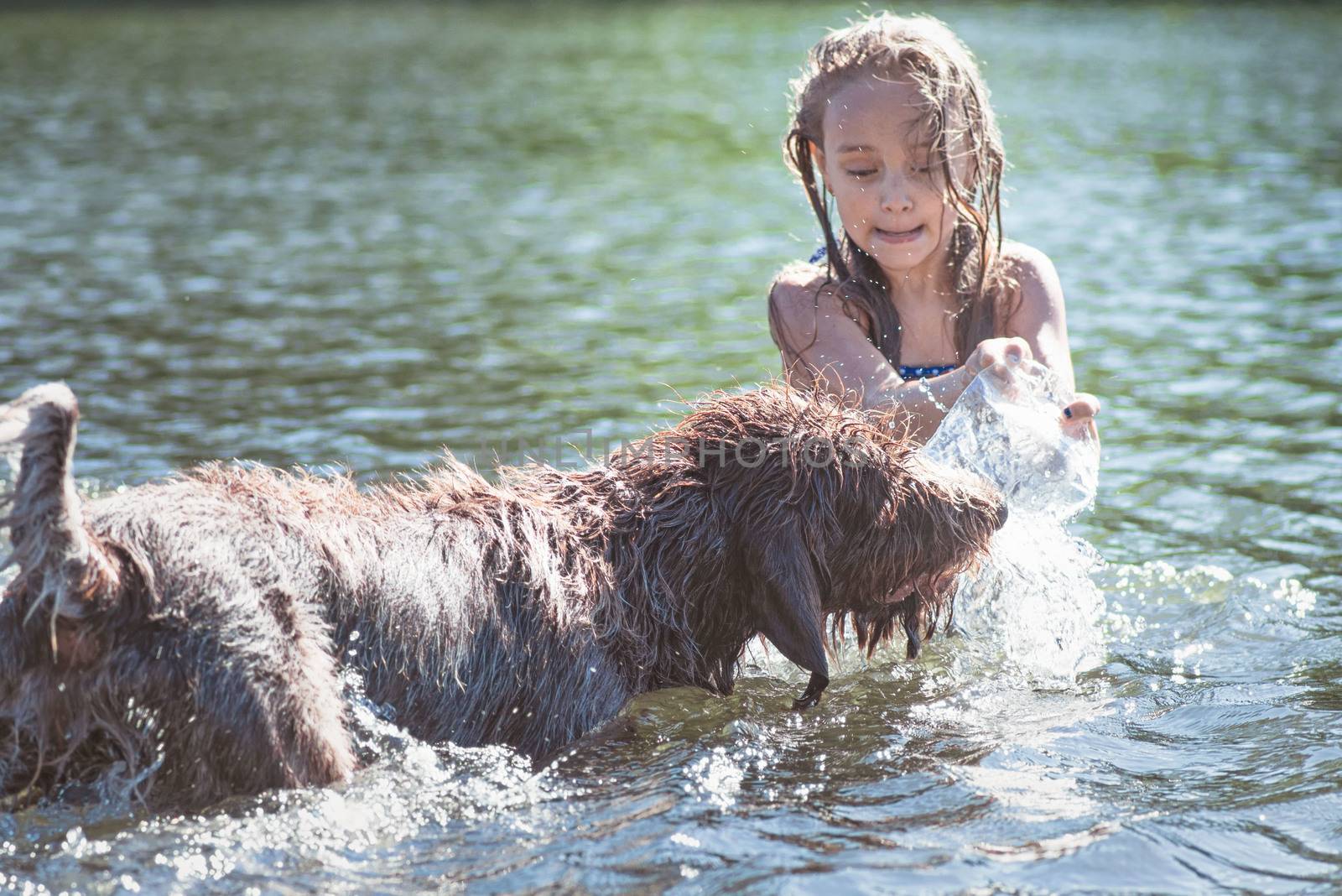 Little girl playing in the river with a dog on a summer sunny day.The concept of playing with a dog in nature and walking on the beach with Pets by nkooume