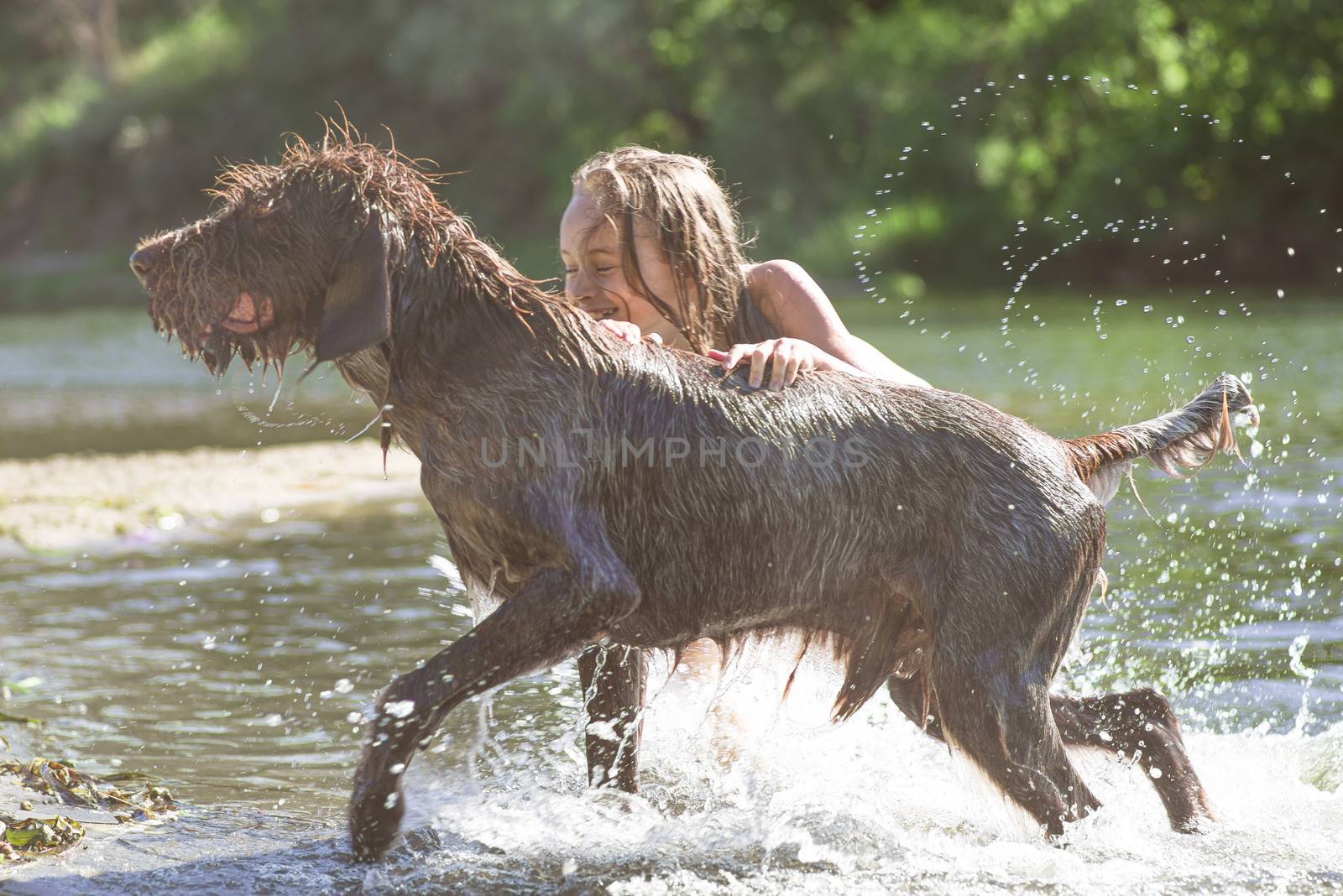 Little girl playing in the river with a dog on a summer sunny day.The concept of playing with a dog in nature and walking on the beach with Pets by nkooume