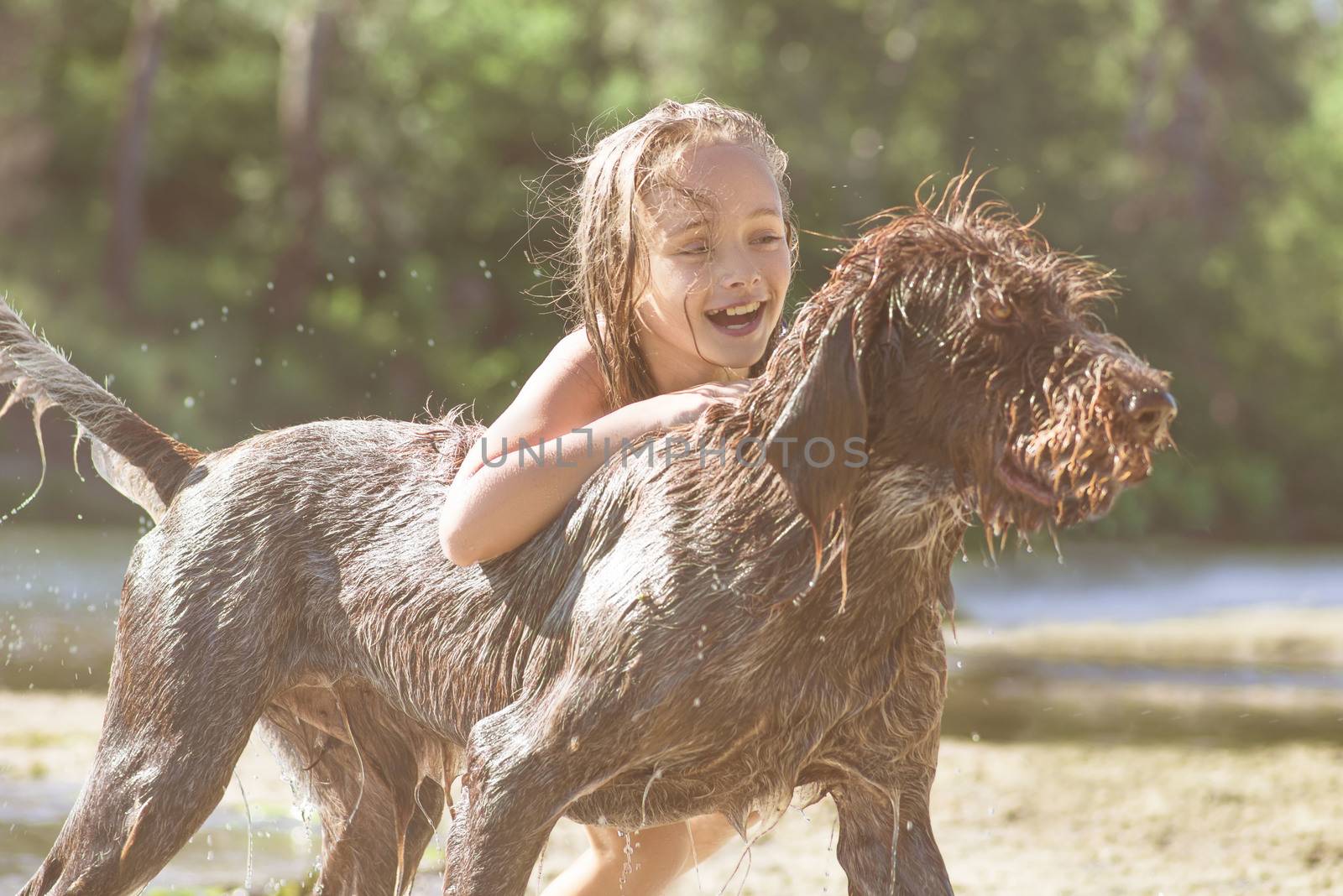 Little girl playing in the river with a dog on a summer sunny day.The concept of playing with a dog in nature and walking on the beach with Pets.Little girl playing with dog.