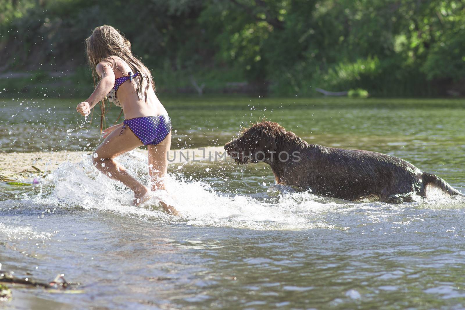 Little girl playing in the river with a dog on a summer sunny day.The little girl runs away from the dog in the river, the girl is afraid of the dog.