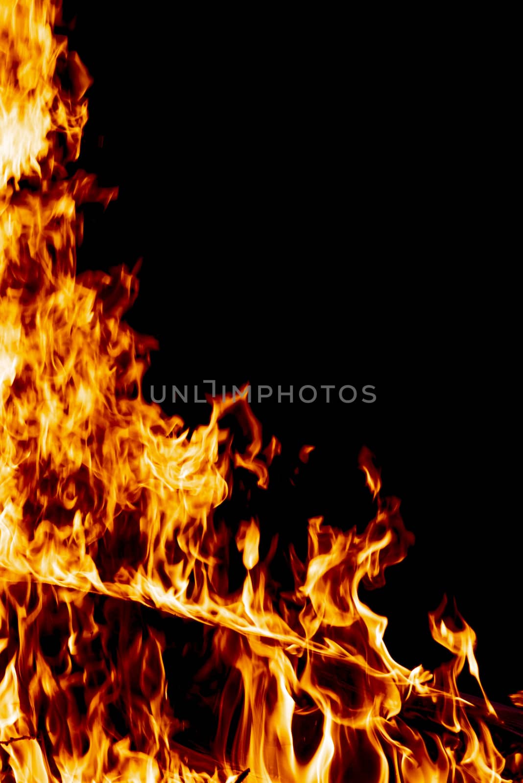 Wood fire on black background.Fire on a dark background. Background from fire. Fire close up. Background for designers.