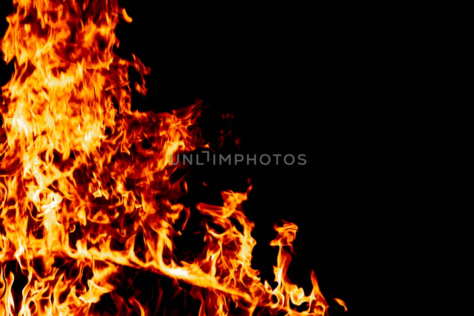 Wood fire on black background.Fire on a dark background. Background from fire. Fire close up. Background for designers.