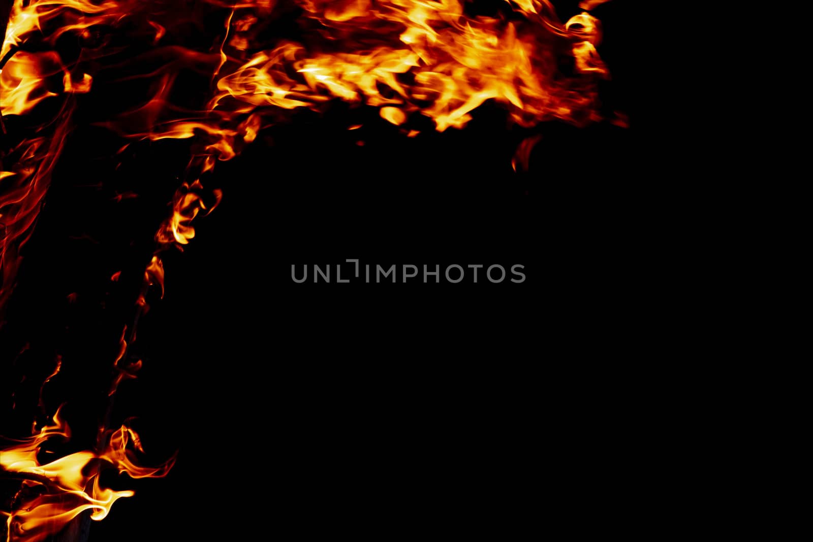 Wood fire on black background.Fire on a dark background. Background from fire. Fire close up. Background for designers.