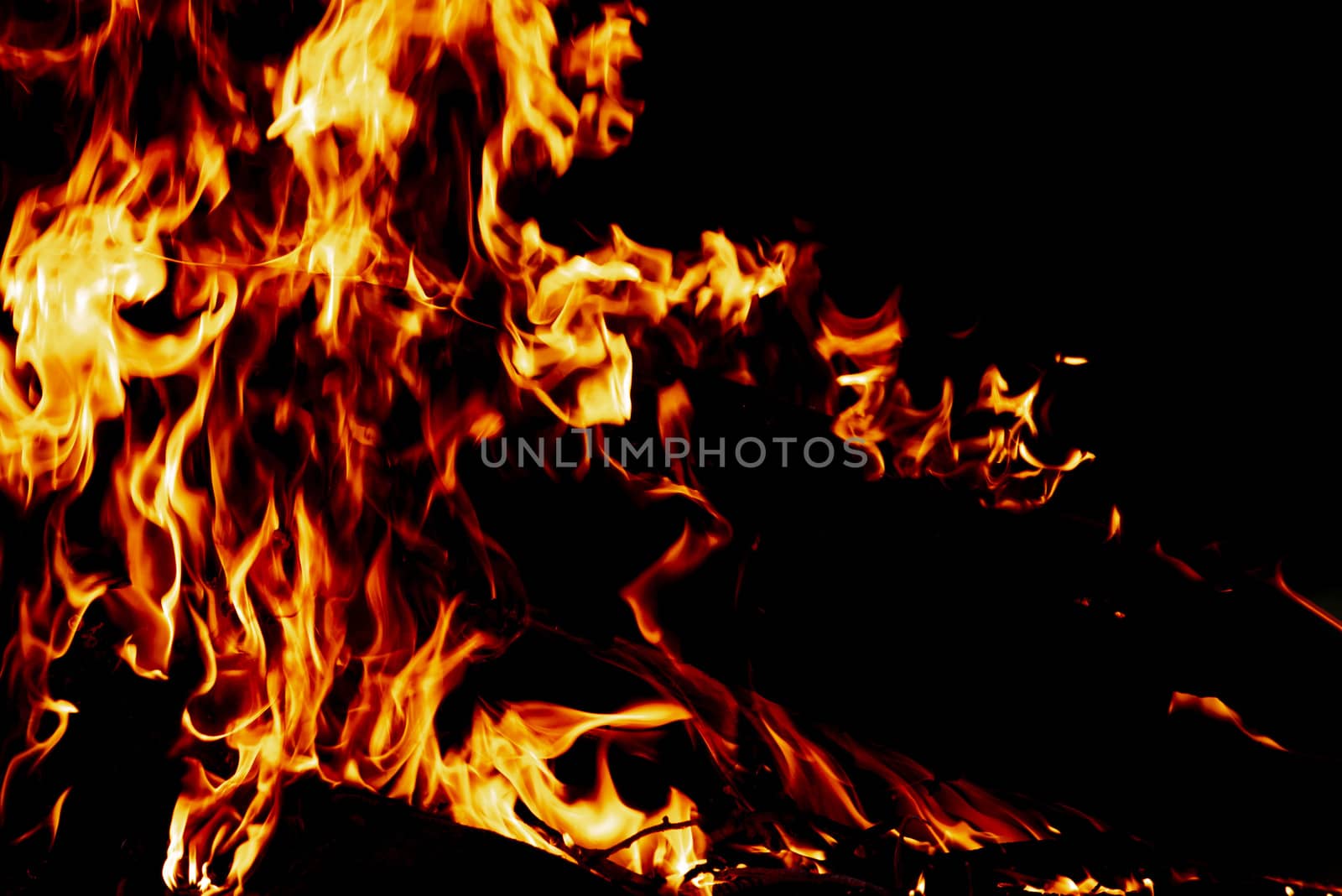 Wood fire on black background.Fire on a dark background. Background from fire. Fire close up. Background for designers.