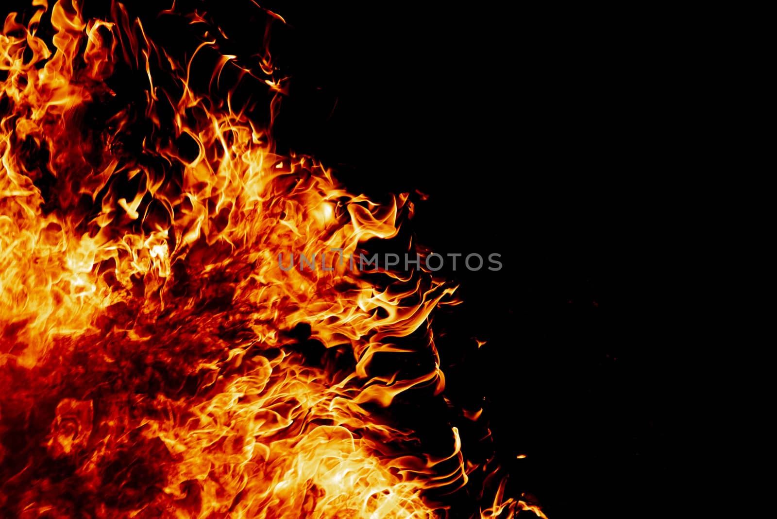 Wood fire on black background.Fire on a dark background. Background from fire. Fire close up. Background for designers.