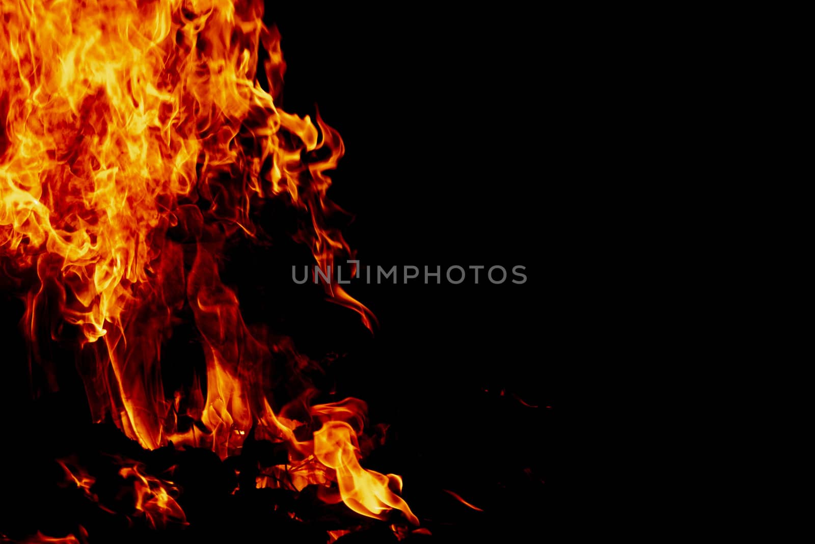 Wood fire on black background.Fire on a dark background. Background from fire. Fire close up. Background for designers.