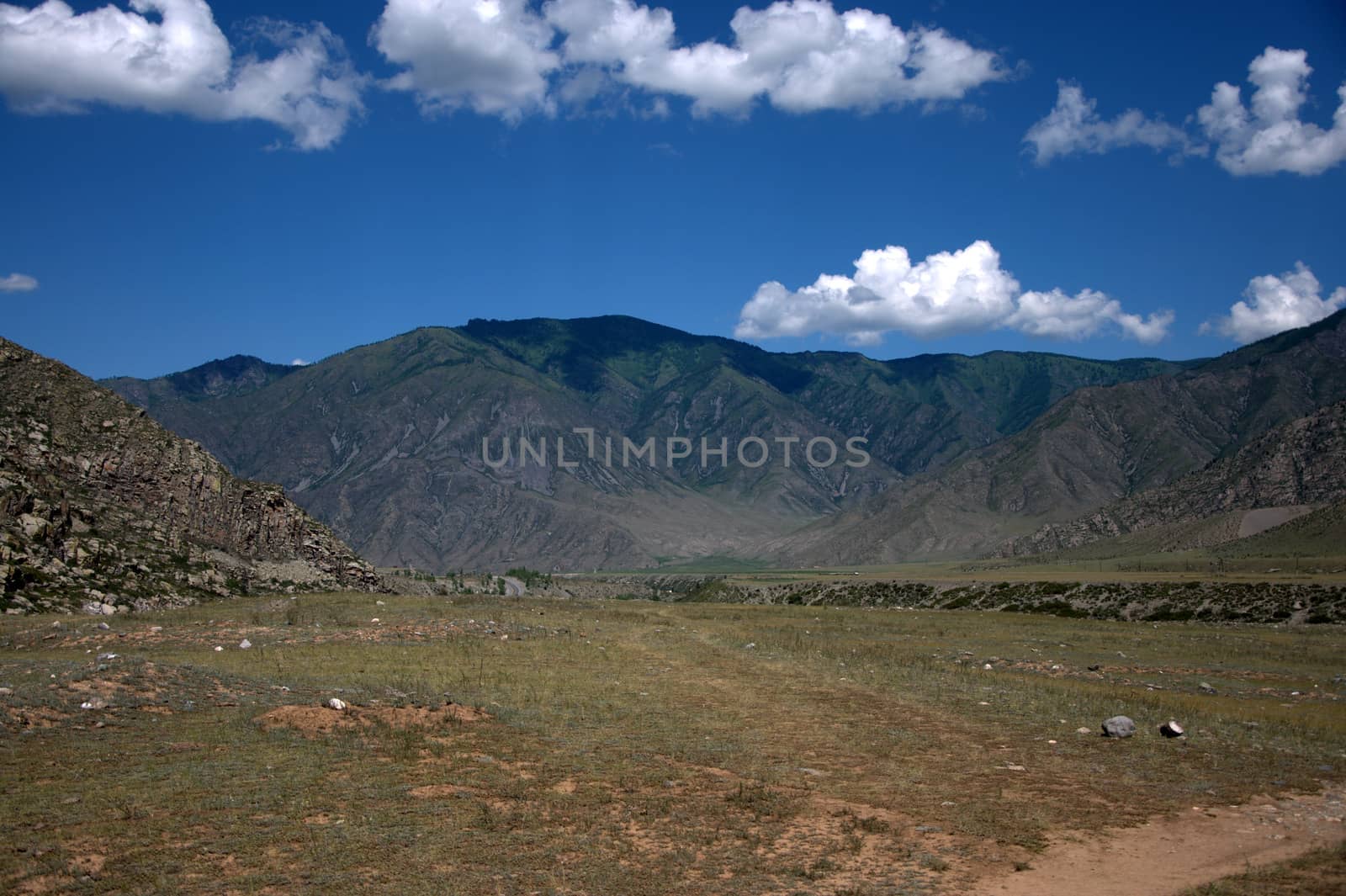 Poor pasture in spring, surrounded by high rocky hills. Altai, Siberia, Russia