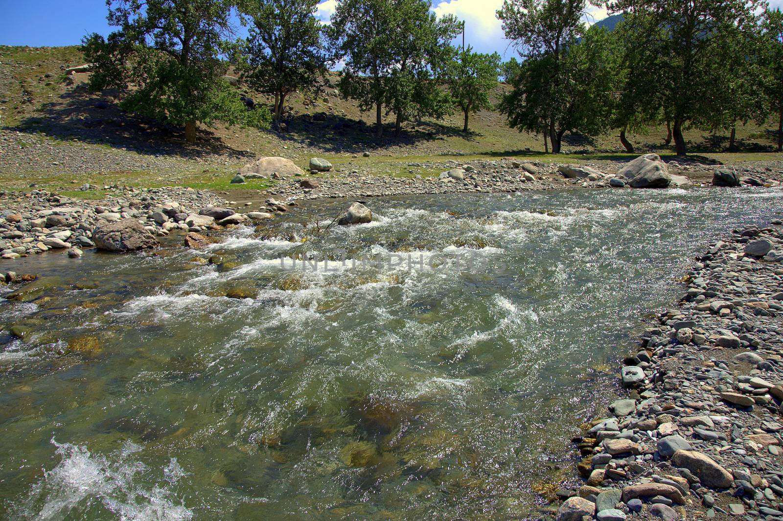 Turn the channel of a small clear river flowing through the valley. Yaloman River, Altai, Siberia, Russia.