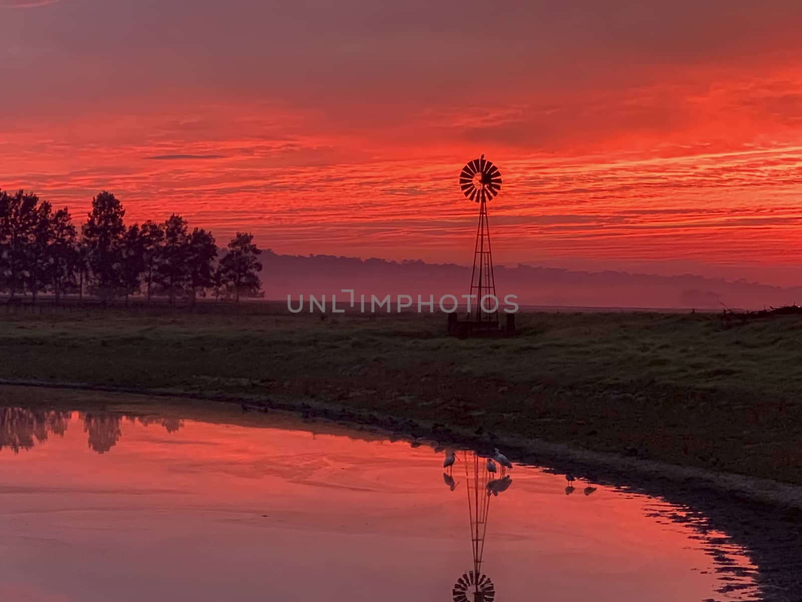 Light morning fog, windmill, pond and a stunning vibrant red sunrise sky in rural countryside farmlands of Australia