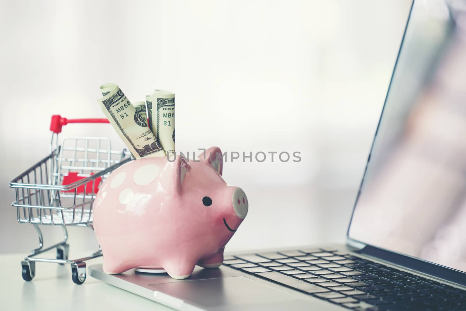 shopping cart and piggy bank with laptop on the desk, online shopping concept