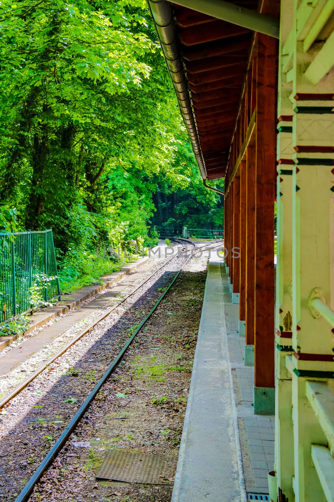 View of the railway station surrounded by forest