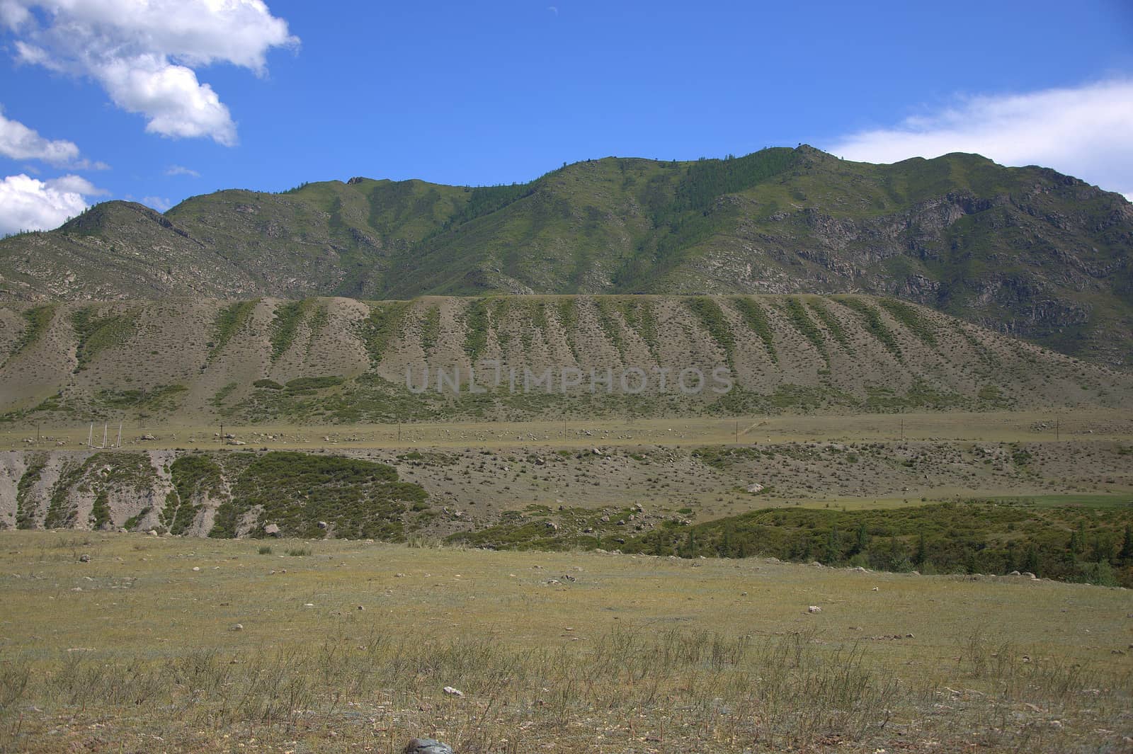 Fertile pasture at the foot of the fertile hills. Altai, Siberia, Russia