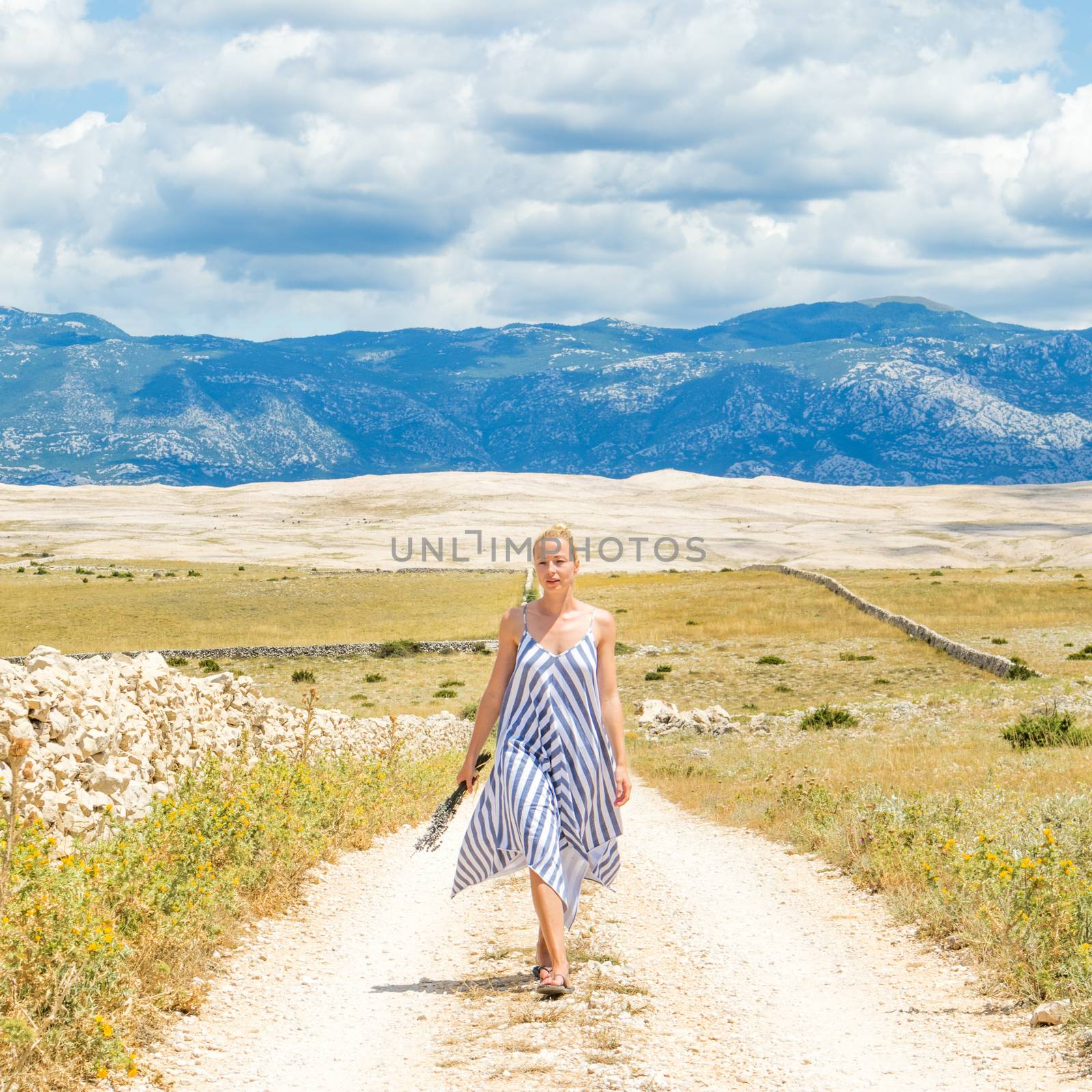 Caucasian young woman in summer dress holding bouquet of lavender flowers while walking outdoor through dry rocky Mediterranean Croatian coast lanscape on Pag island in summertime by kasto
