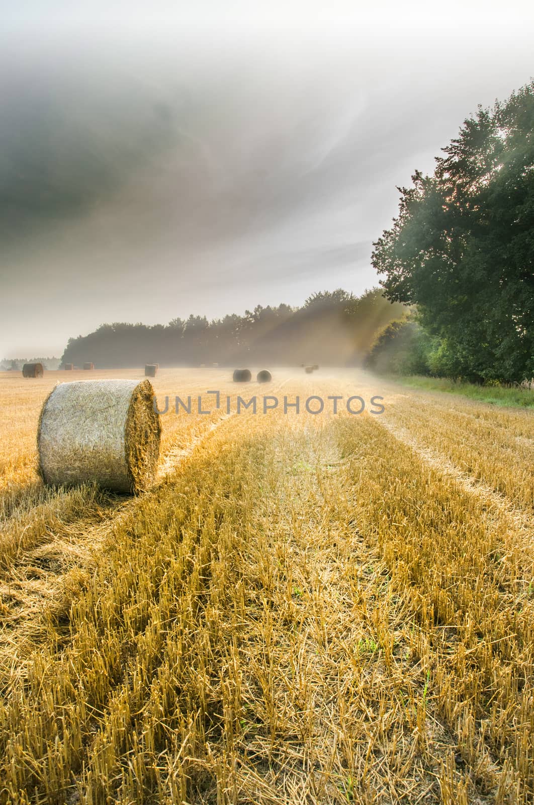 Summer sunrise view on harvested field with straw bales in the Bohemina Paradise, Czech Paradise.