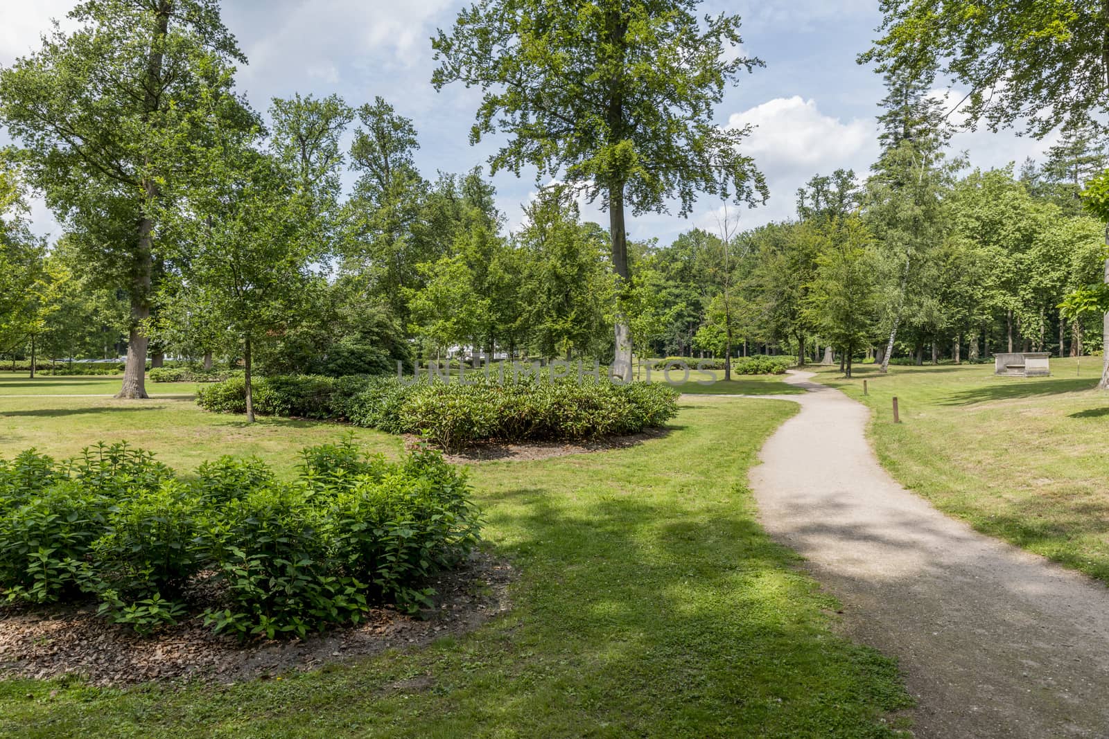 big english garden with green grass and path for walking