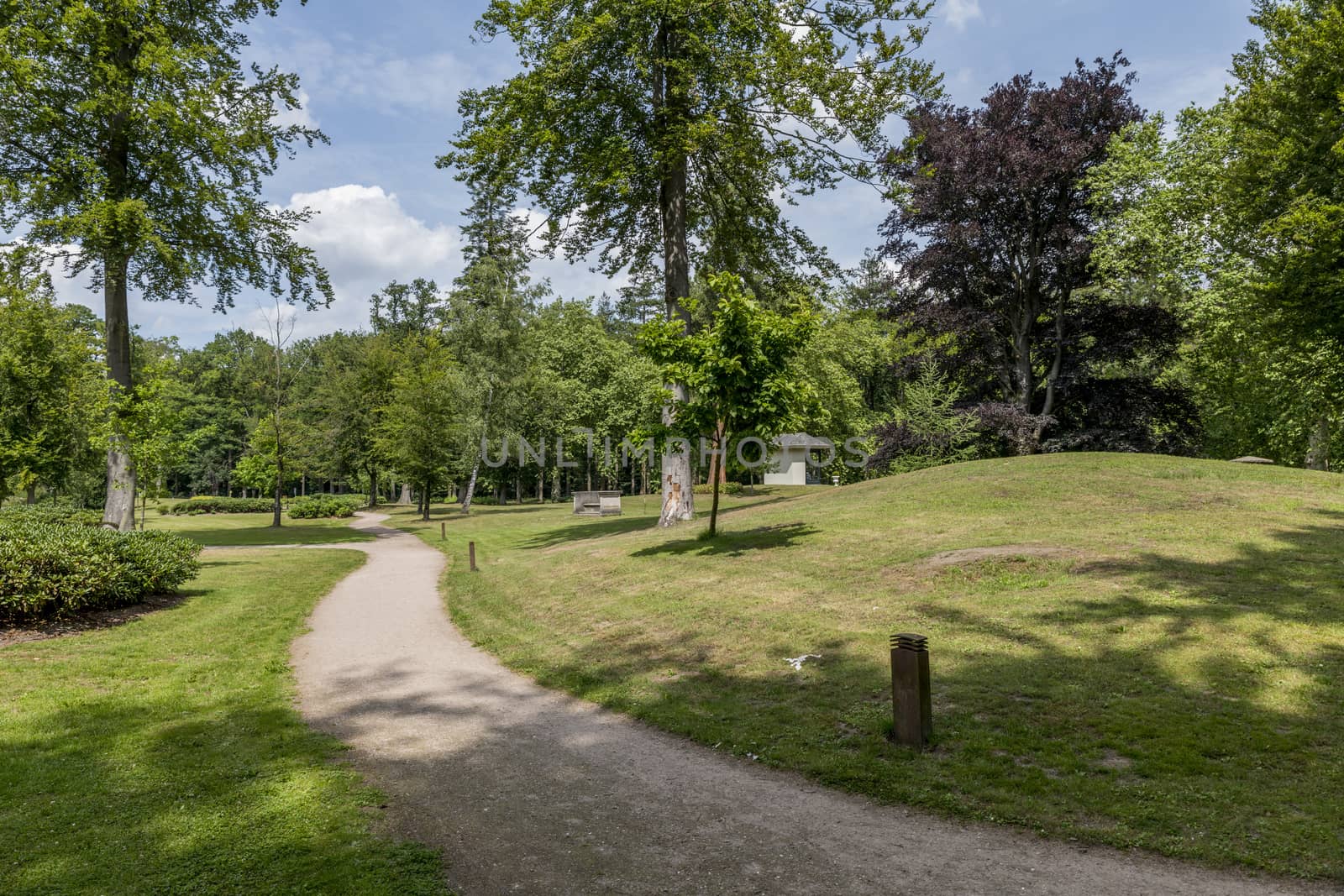 big english garden with green grass and path for walking