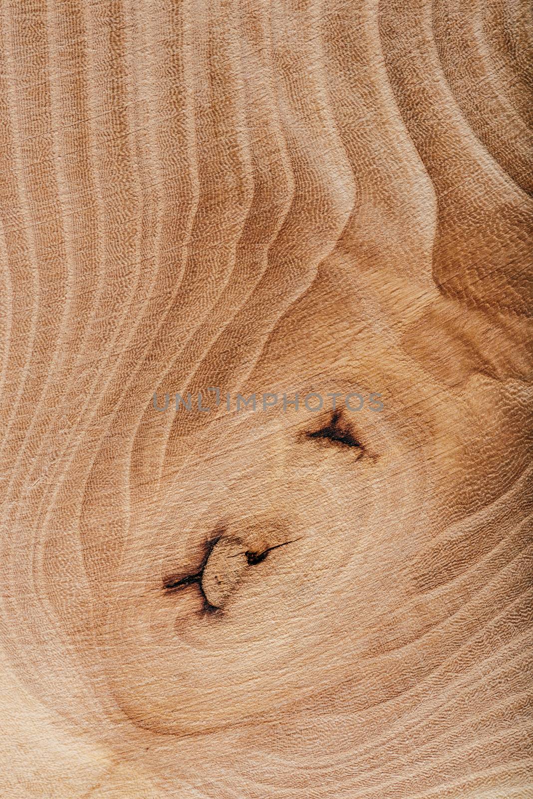 Ash wood slab texture with annual rings, background or wallpaper.