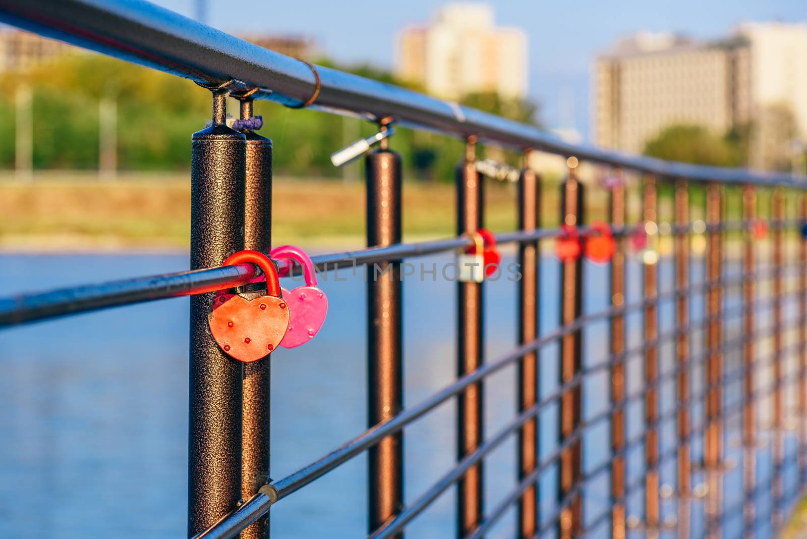 Colorful metal locks hanging on black railings in the sunrise light.