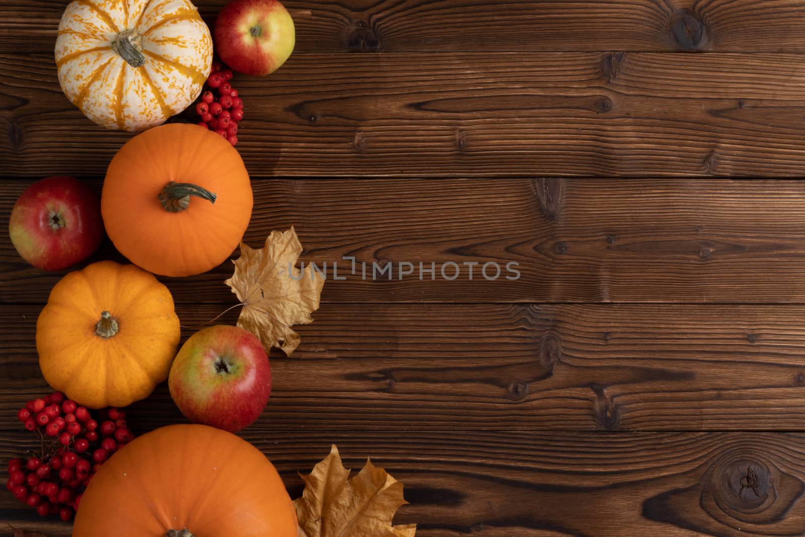 Autumn harvest still life with pumpkins , apples and rowanberry on wooden background , top view
