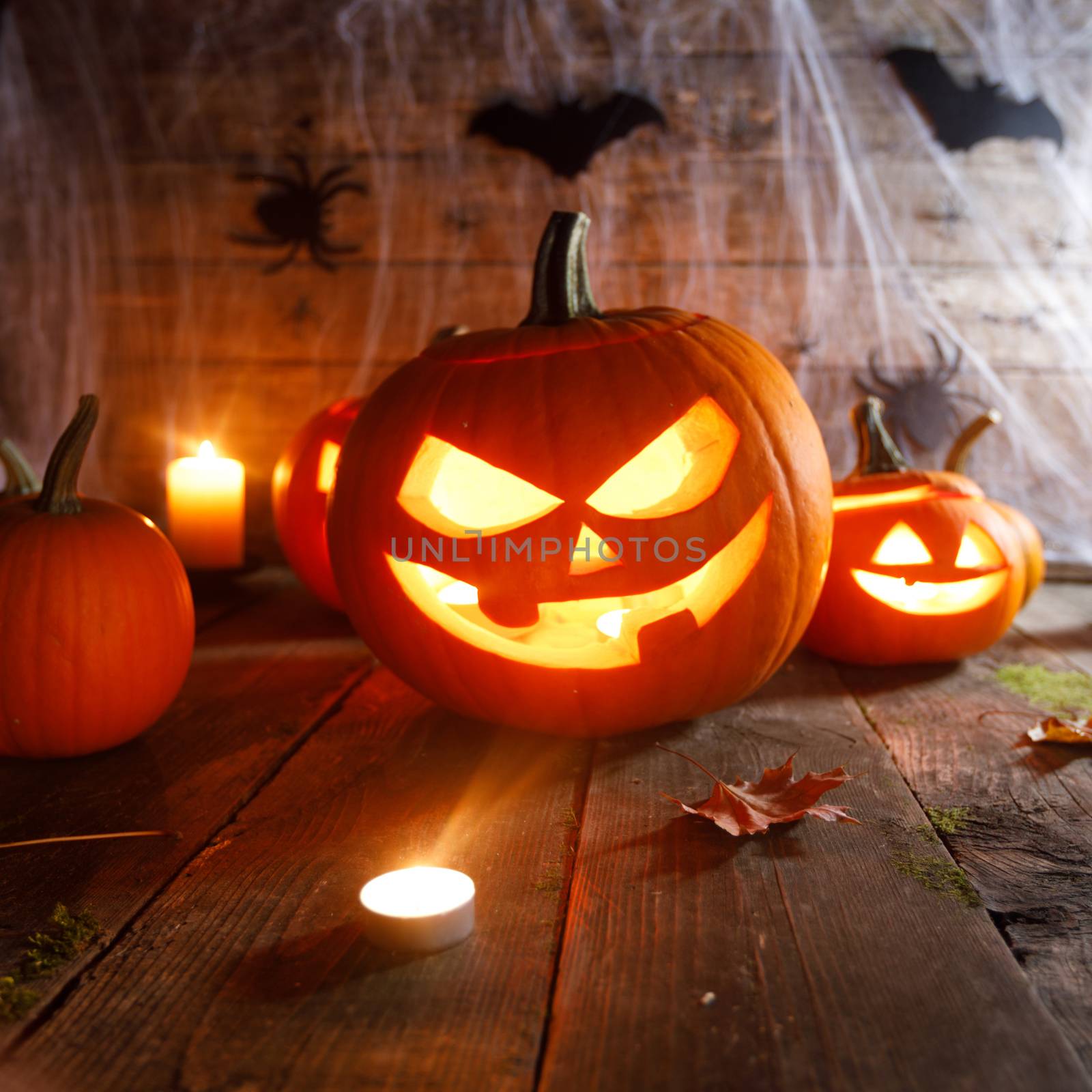 Jack O Lantern Halloween pumpkins, spiders on web , bats and burning candles