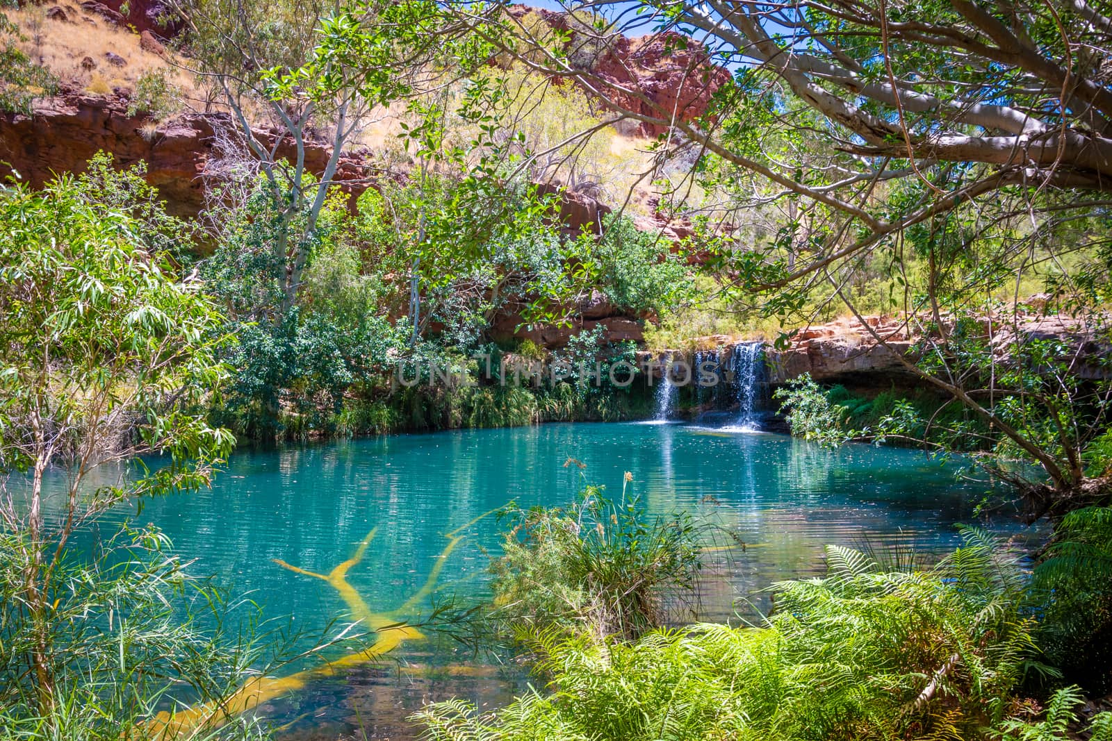 Beautiful Fern Pool behind Fortescue Falls in Dales Gorge at Karijini National Park Australia