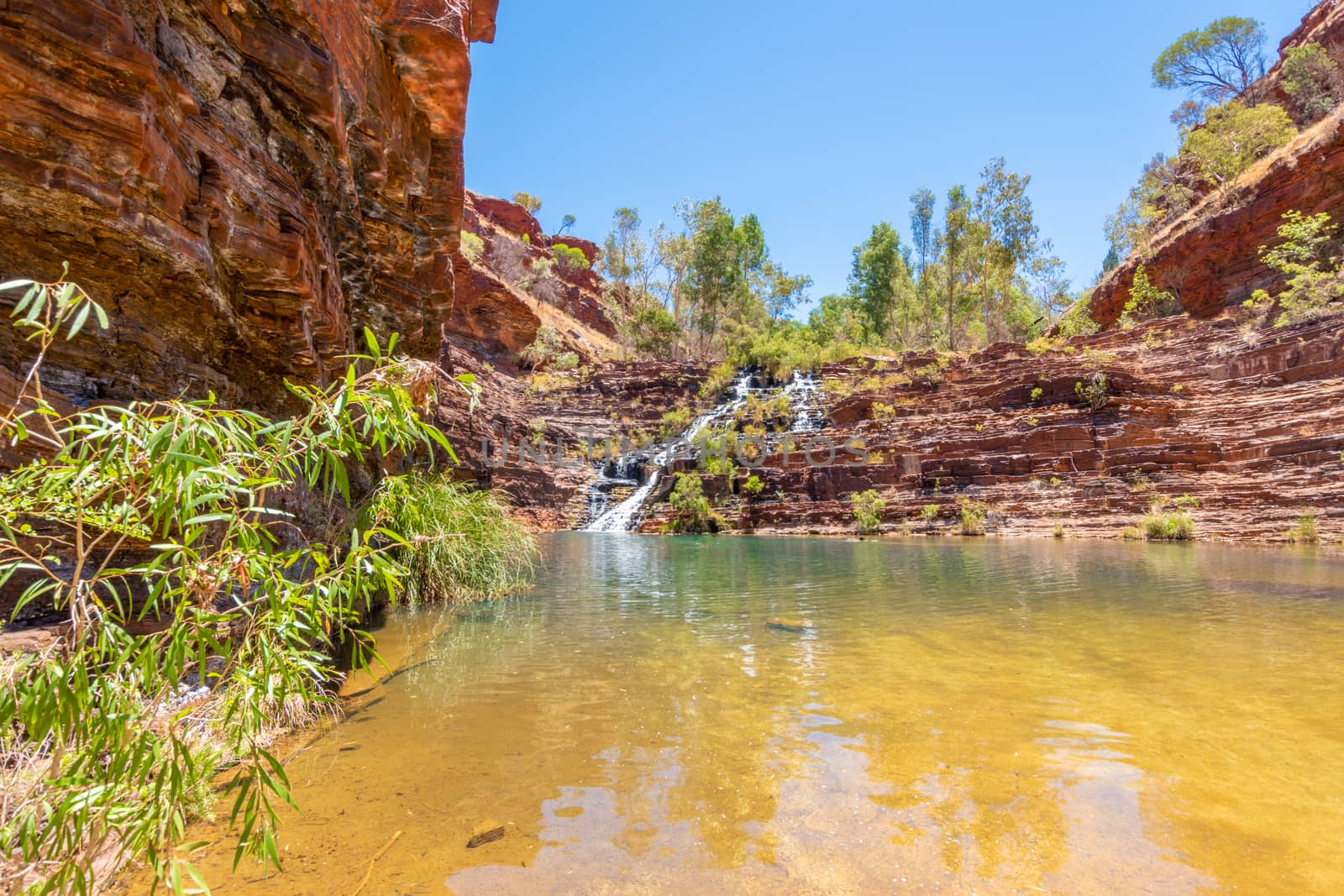 Fortescue Falls green oasis bottom of Dales Gorge at Karijini National Park by MXW_Stock