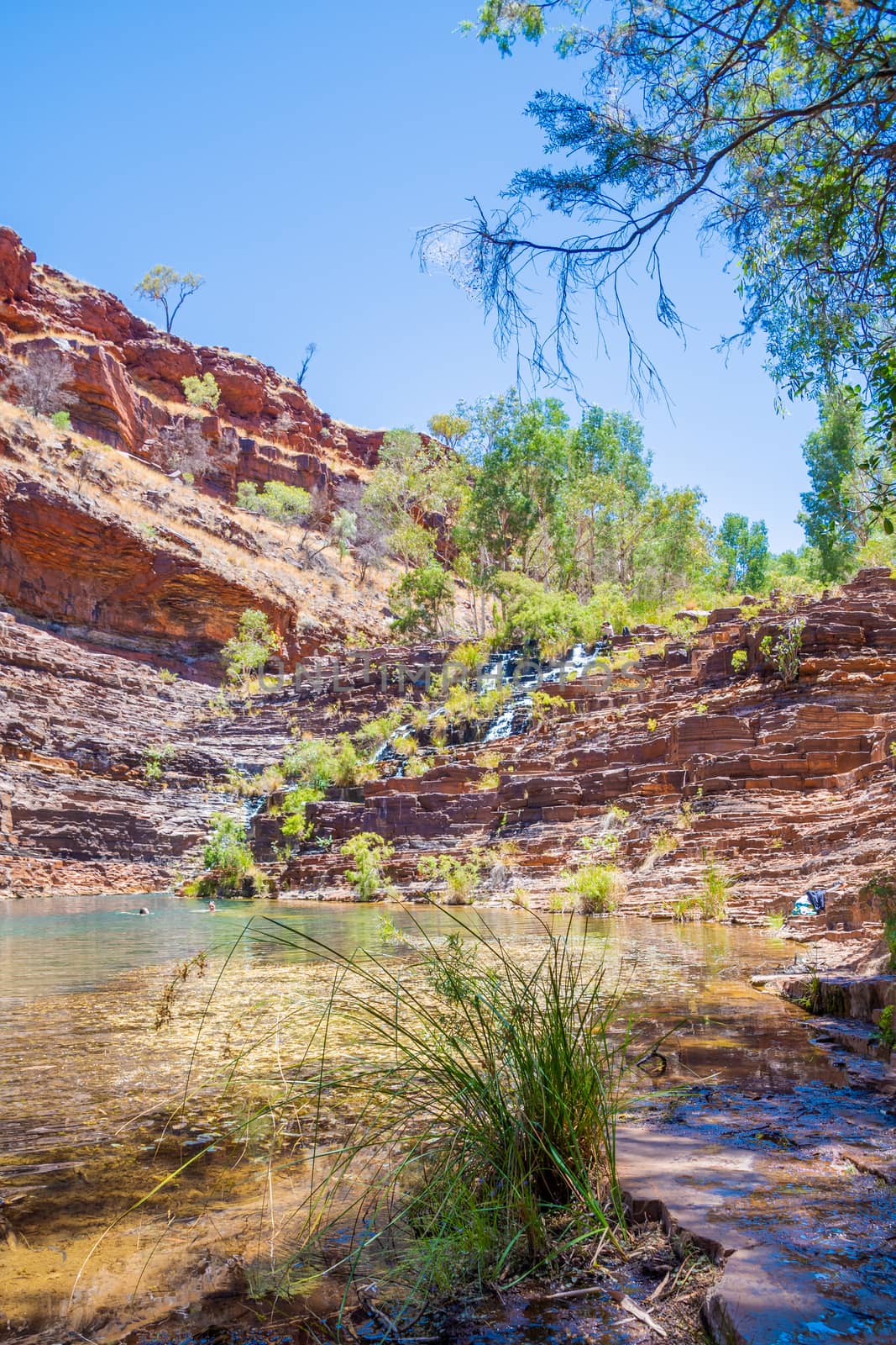 Fortescue Falls at the bottom of Dales Gorge at Karijini National park by MXW_Stock