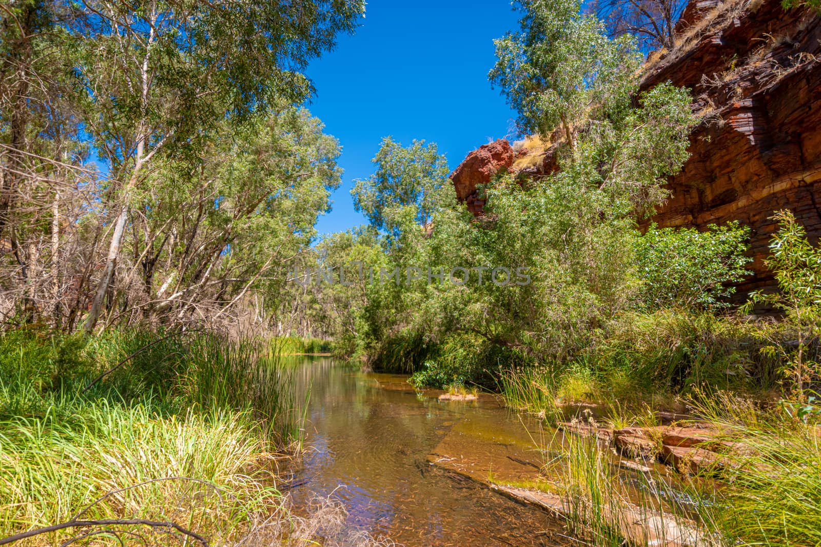 Hiking path at bottom of Dales Gorge leading to Circular Pool at Karijini National Park by MXW_Stock