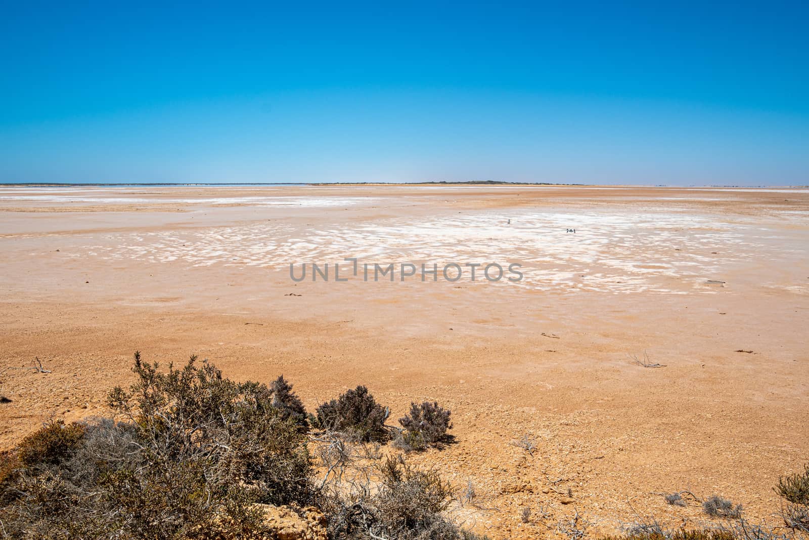 Lake Maclead dry salt lake in Western Australia mirage at horizon by MXW_Stock
