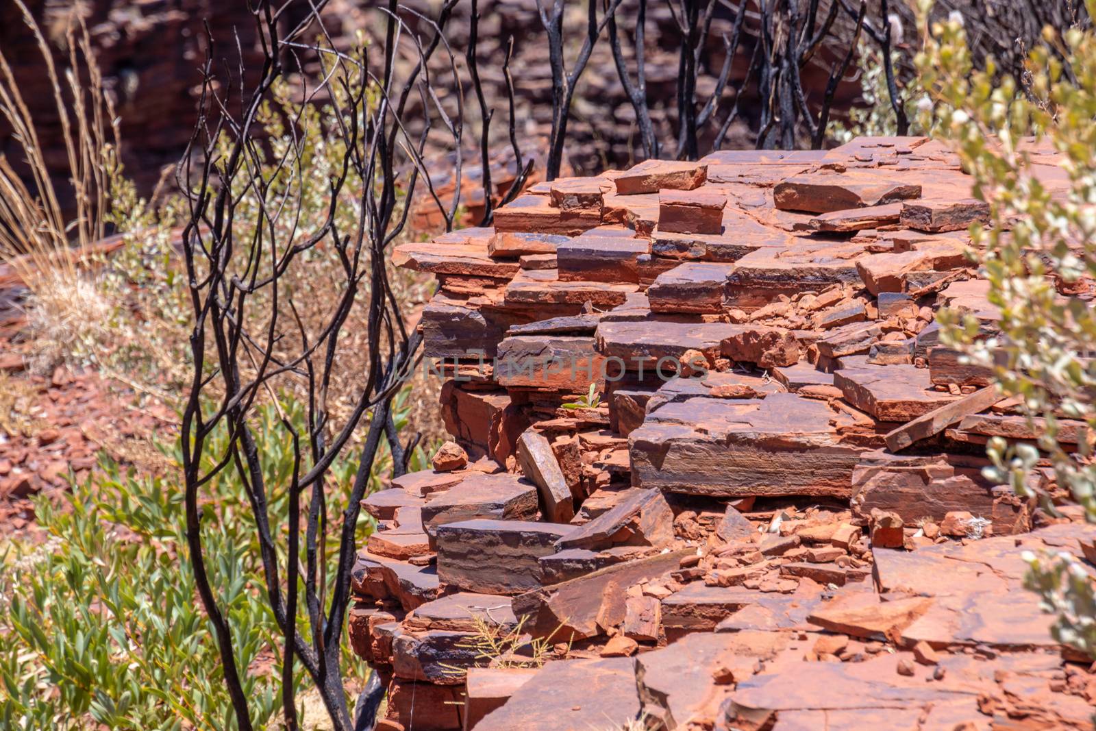 Layers of red bed rock rich in iron ore at Karijini National Park by MXW_Stock