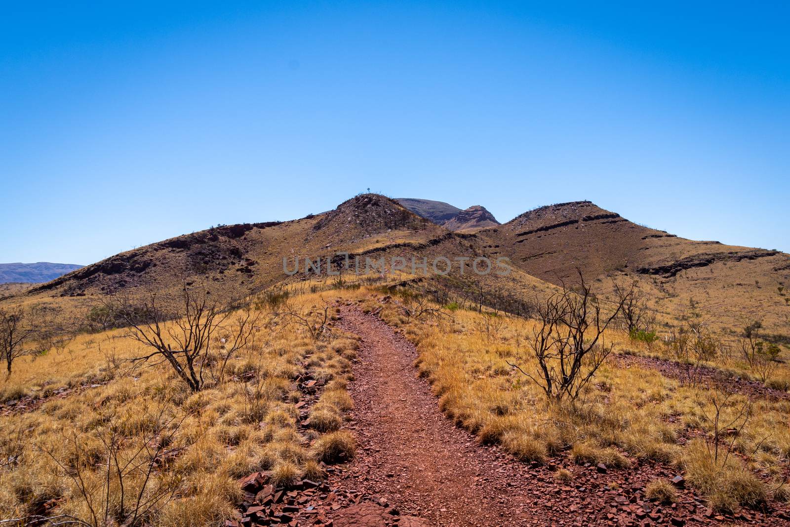 Mount Bruce hiking path leading towards the mountain top Karijini National Park by MXW_Stock