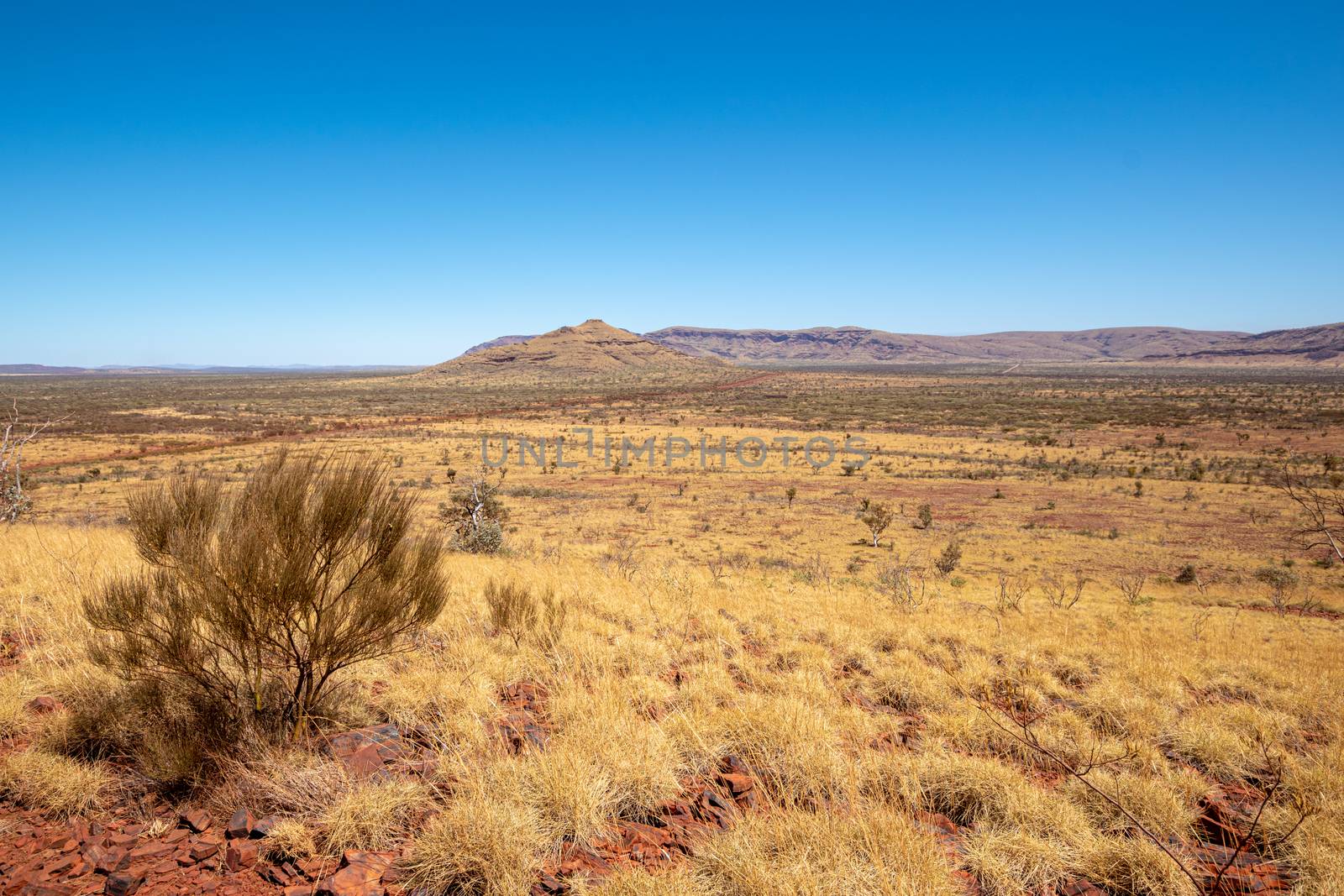 Mount Bruce view over dry landscape at Karijini National Park Australia