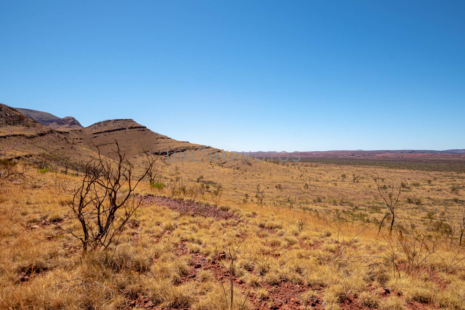 Mount Bruce dry landscape surrounding landscape at Karijini National Park Australia
