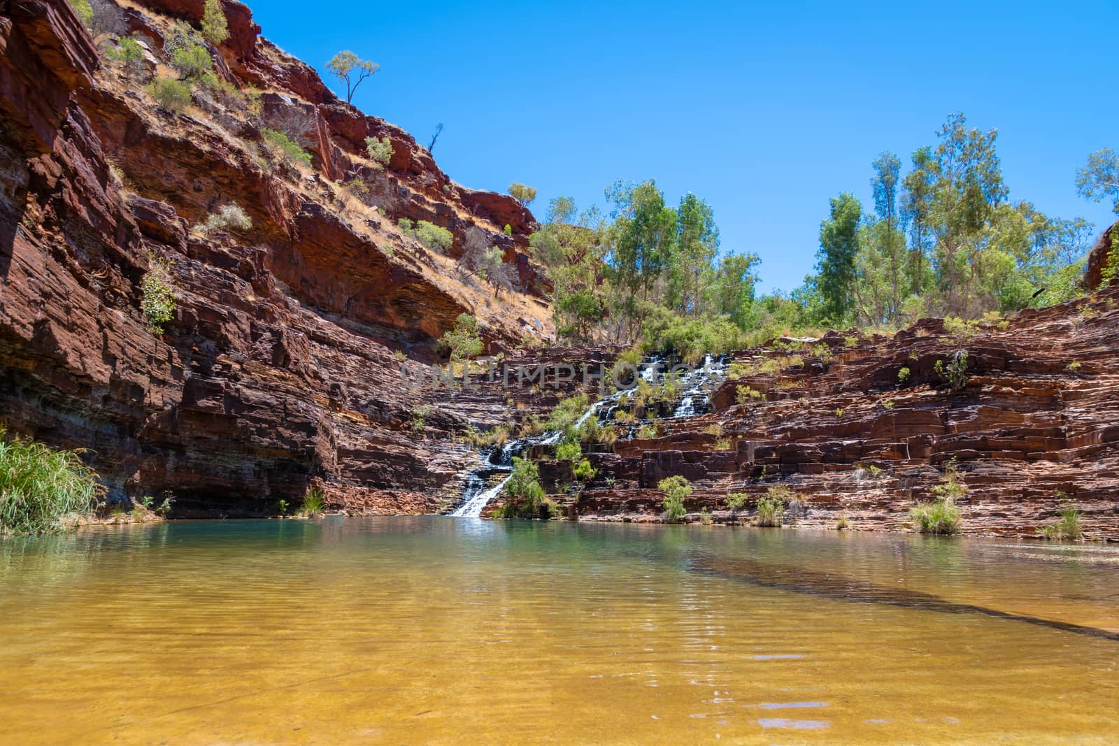Natural pool at Fortescue Falls at bottom of Dales Gorge Karijini National Park by MXW_Stock