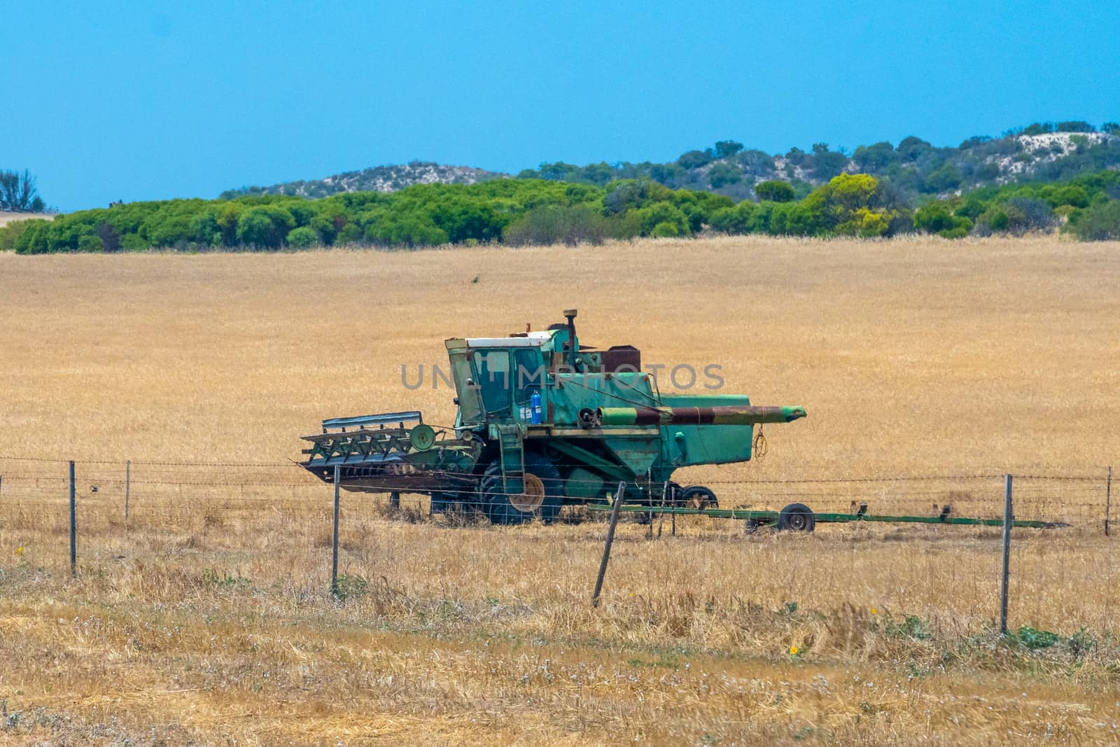 Old combine harvester parked on dry corn field in Western Australia by MXW_Stock