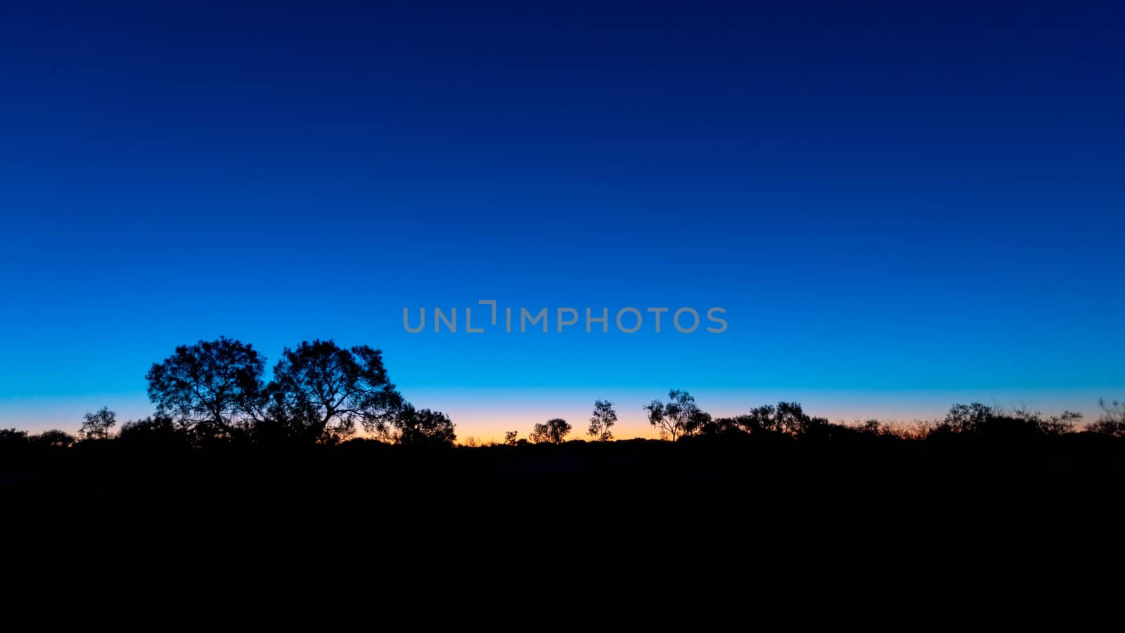 Silhouette of Australian Outback in front against a late sunset sky by MXW_Stock