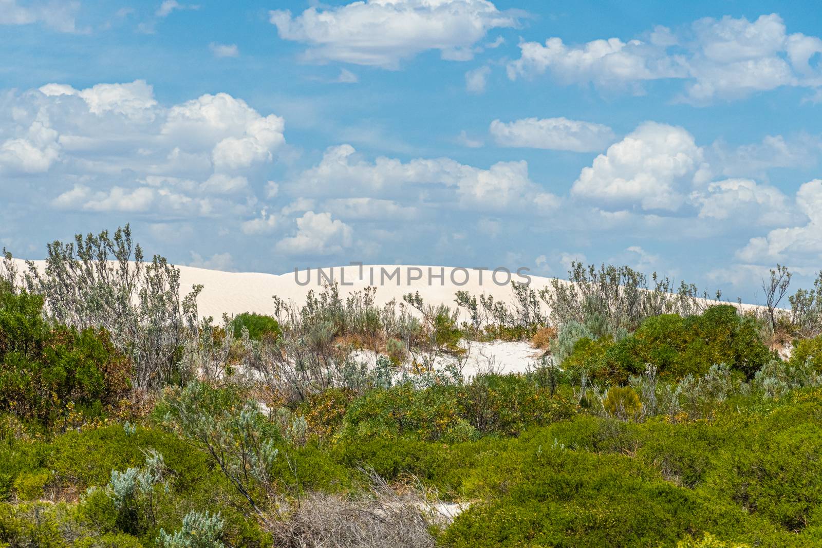 The Pinnacles Desert white sand dunes in west Australian landscape