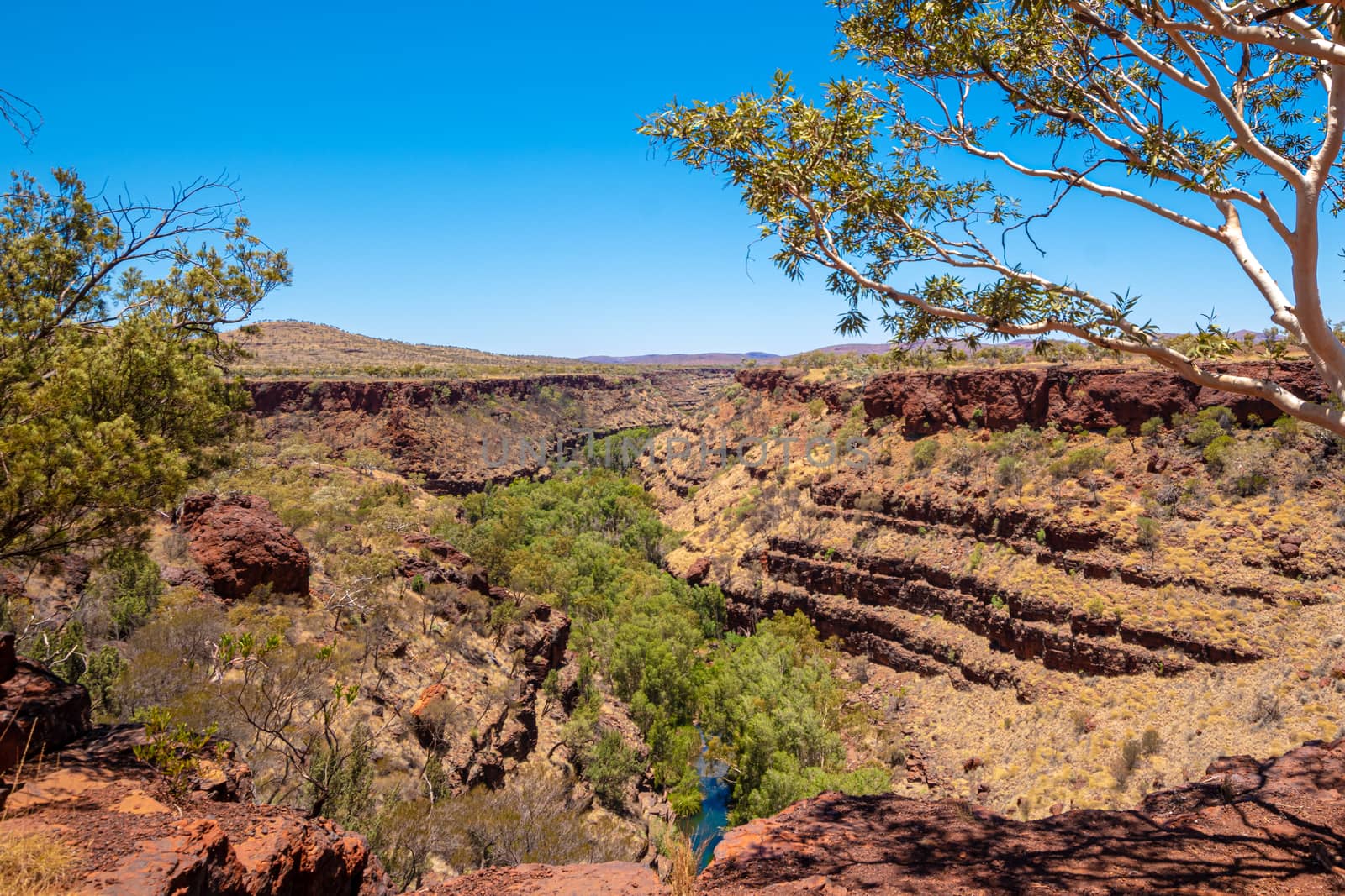 View along the Dales Gorge at Karijini National Park Australia green oasis by MXW_Stock